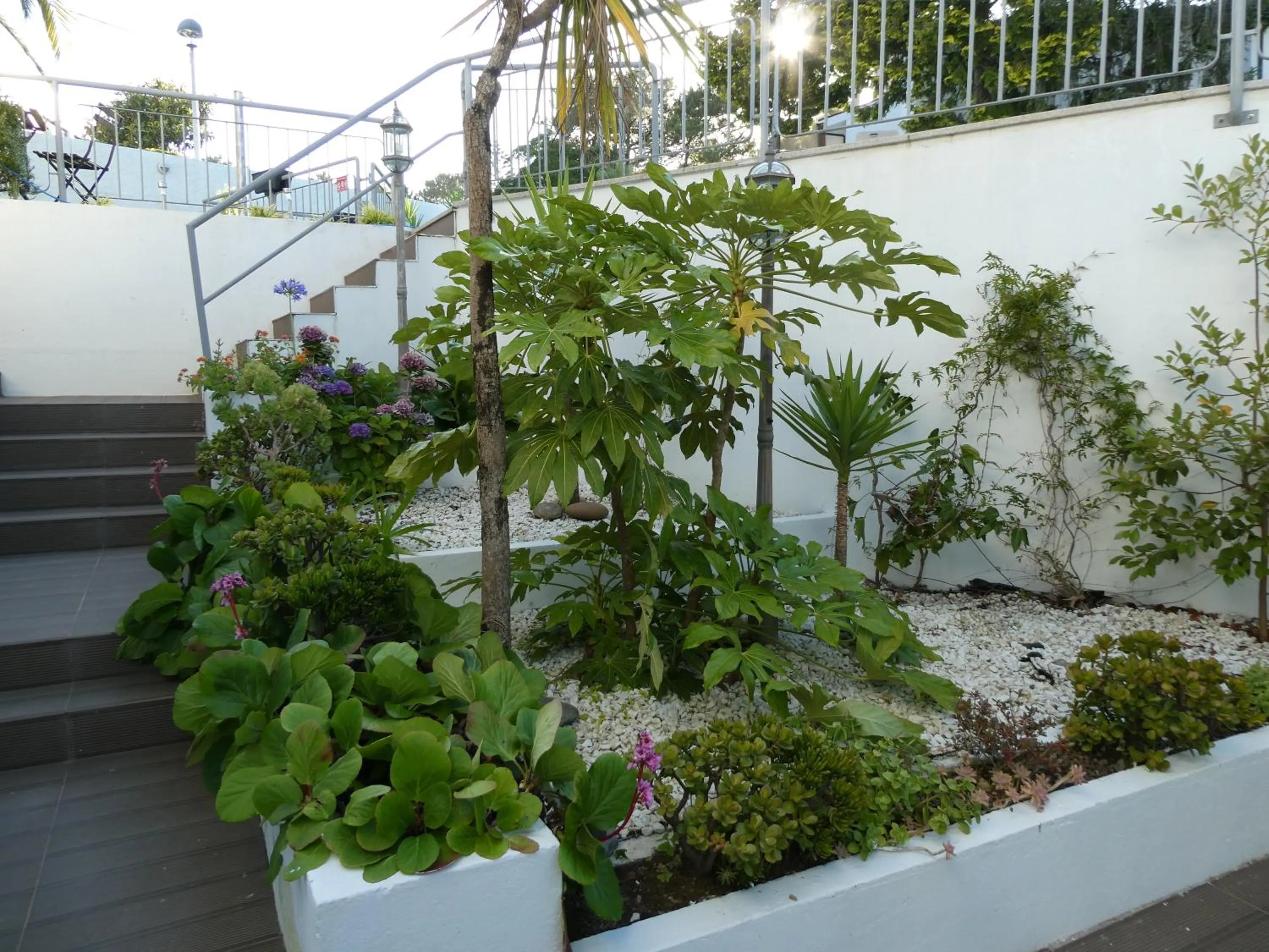 Balcony/Terrace in Casa do Cabedelo