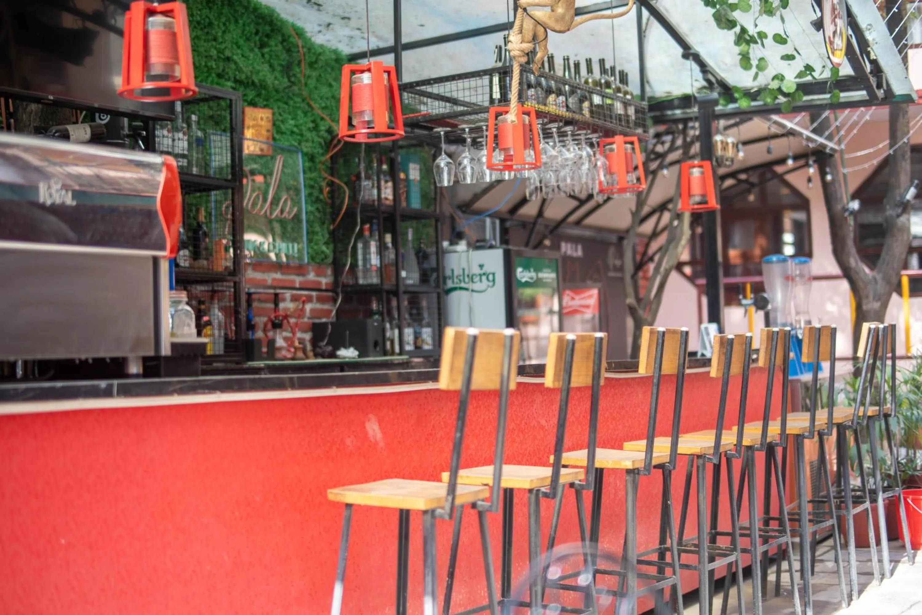 Restaurant/places to eat in Hotel Pala