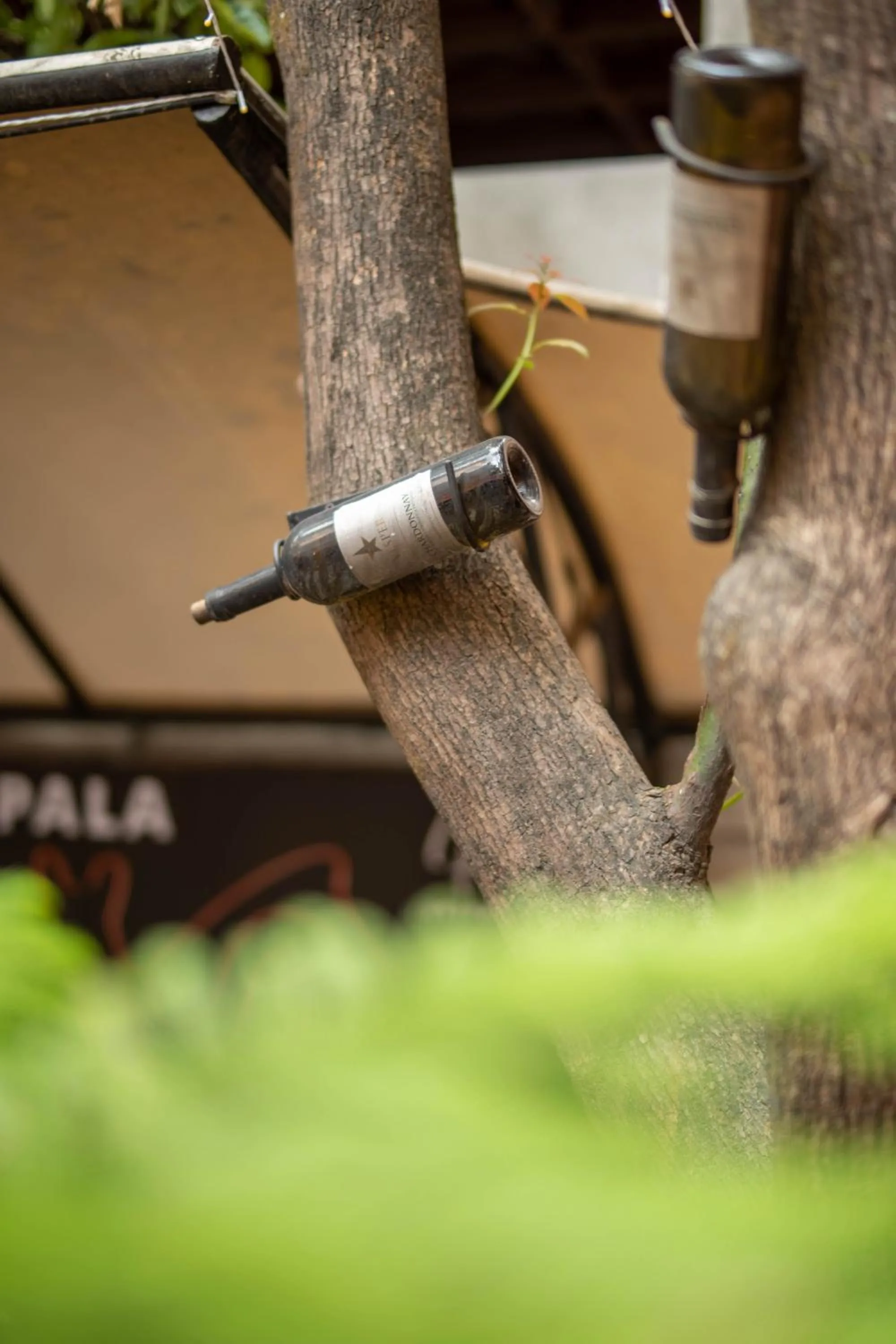 Lounge or bar in Hotel Pala