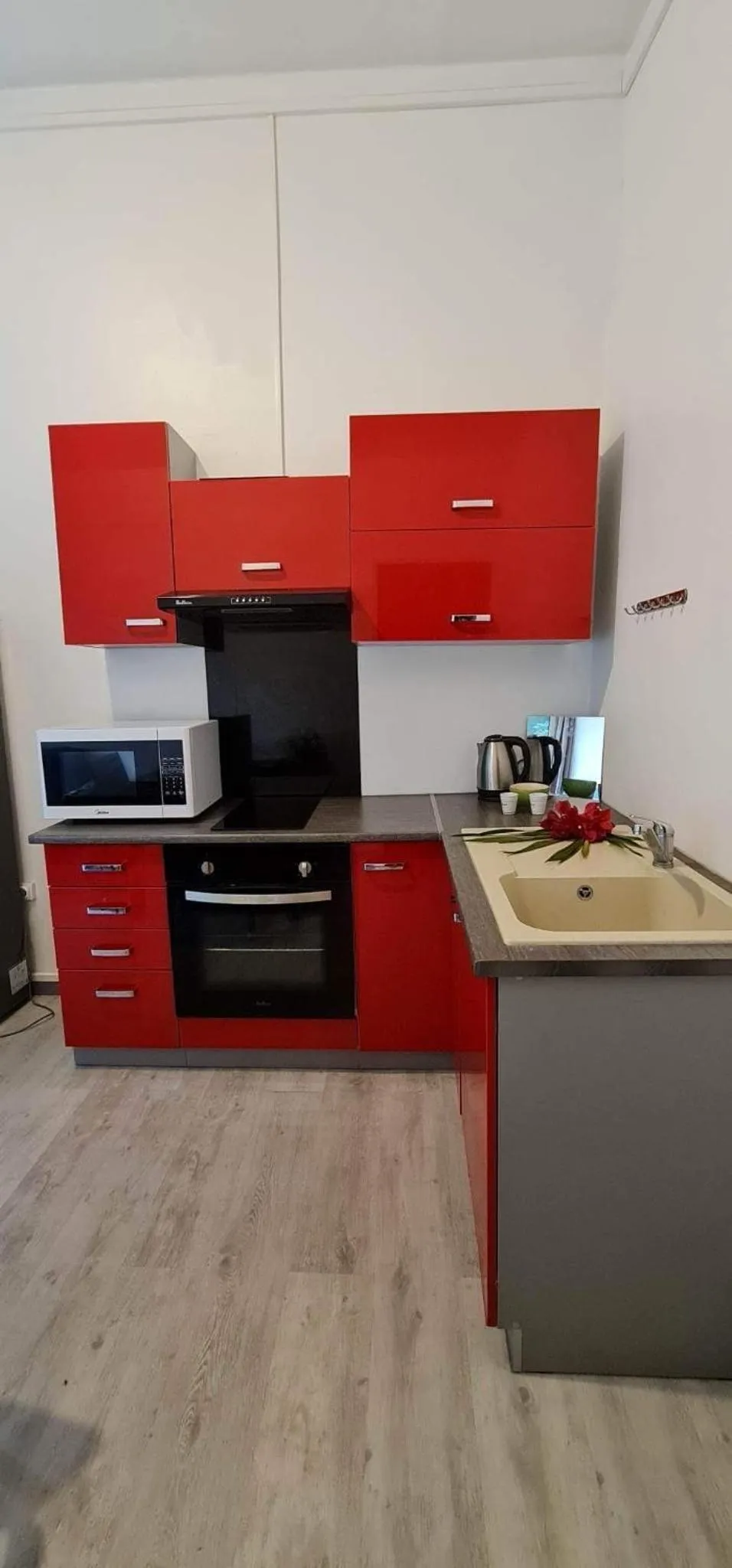 Kitchen or kitchenette in Temana Airport Faa'a,Tahiti