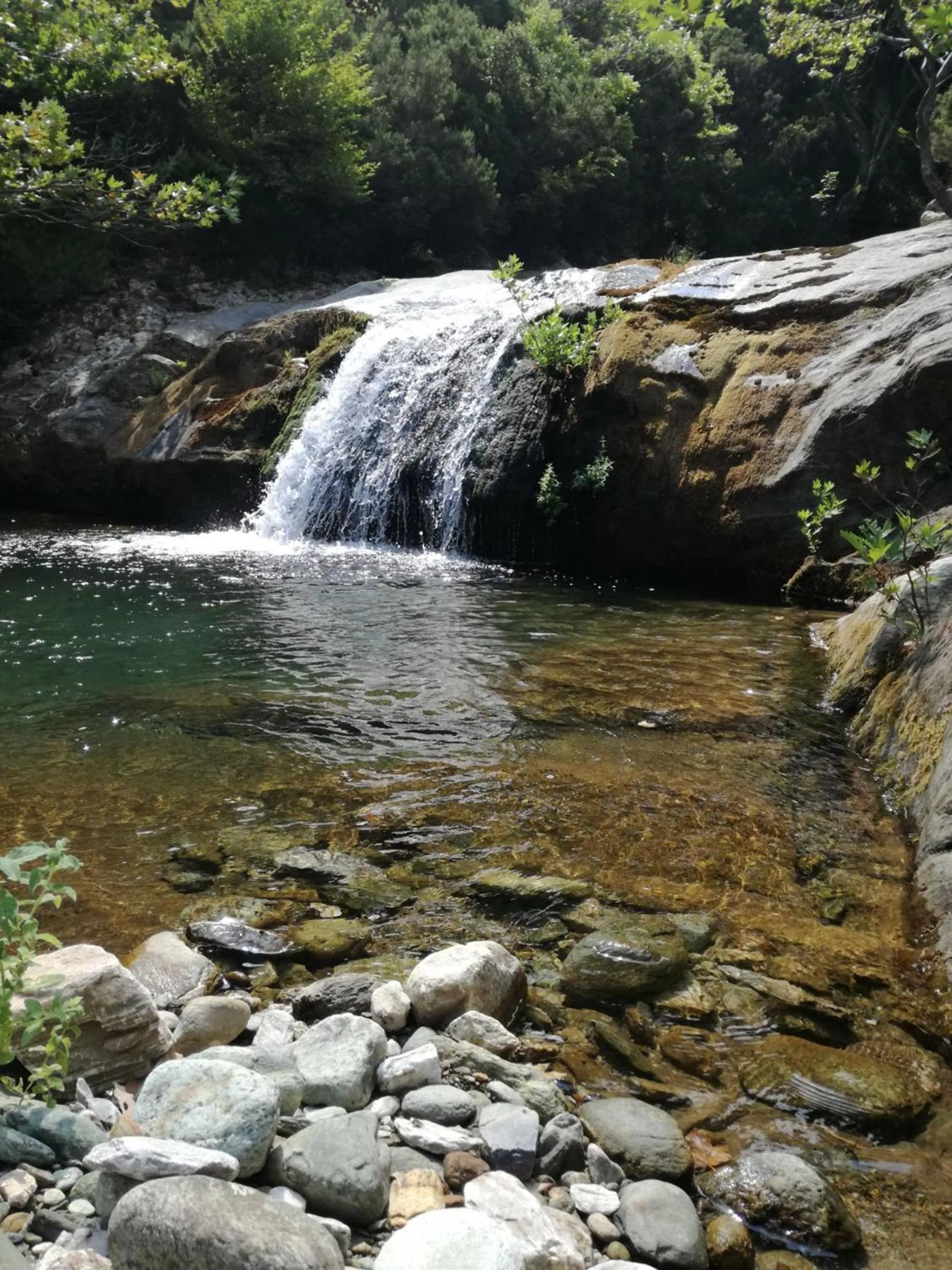 Natural landscape in Gikas Apartments Triple Studio Sea View B7