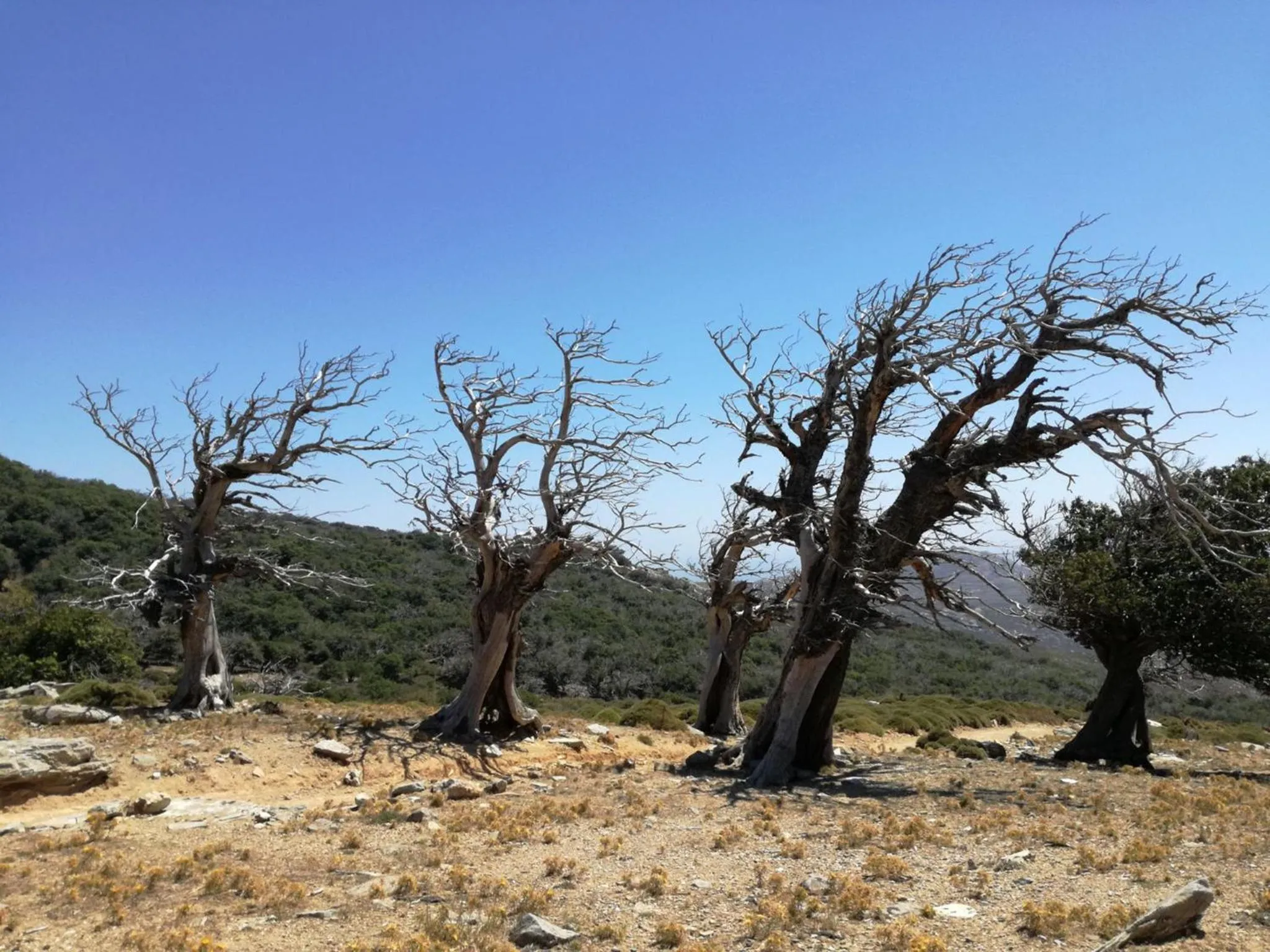 Hiking in Gikas Apartments Triple Studio Sea View B7