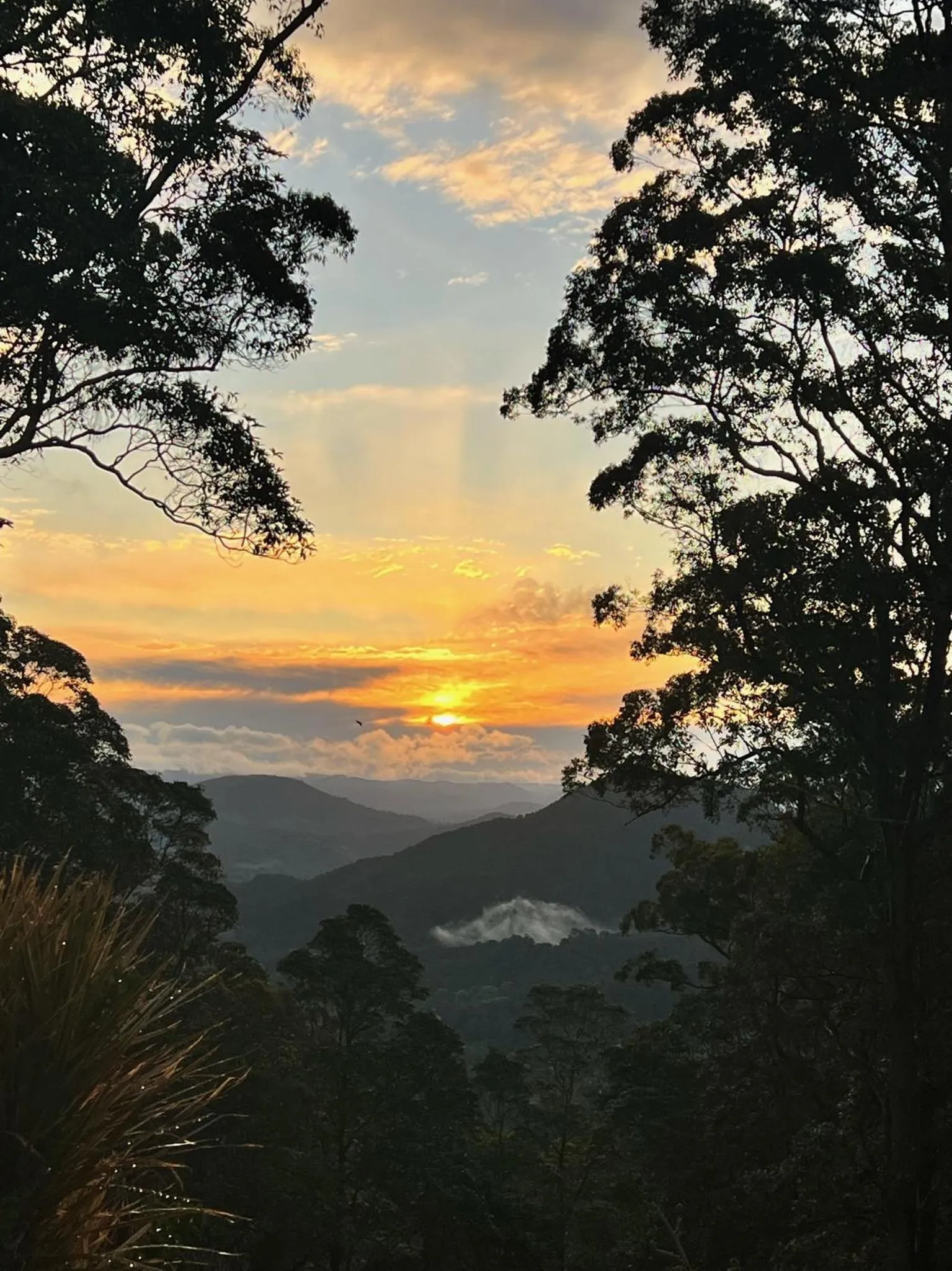 Natural landscape in House of Mahalo Accommodation
