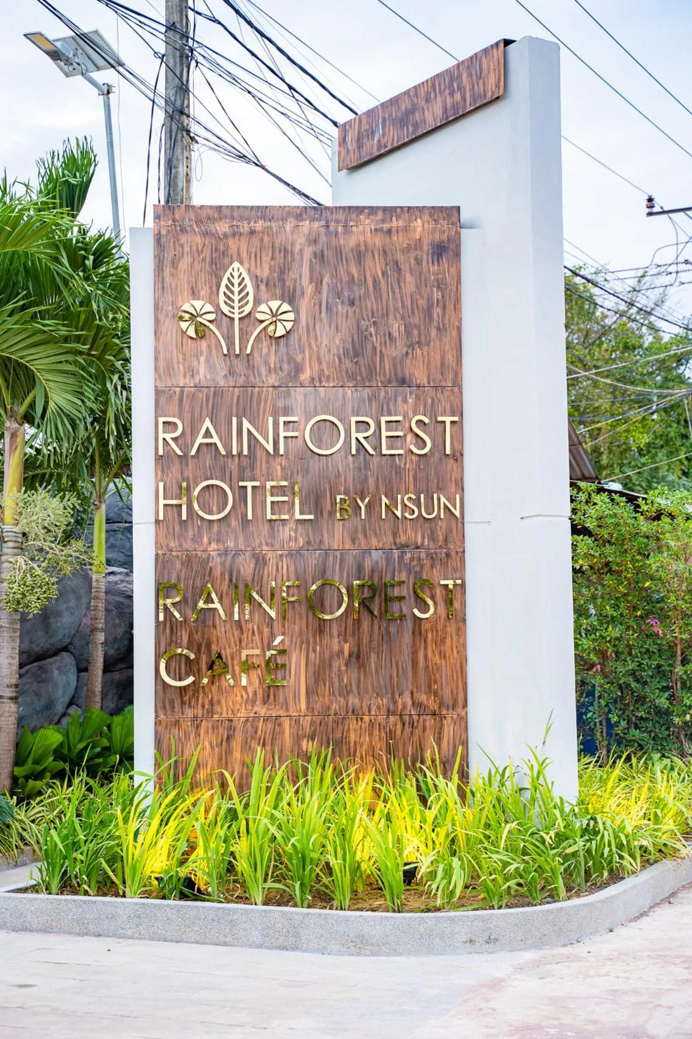 Day in Rainforest Hotel by NSUN