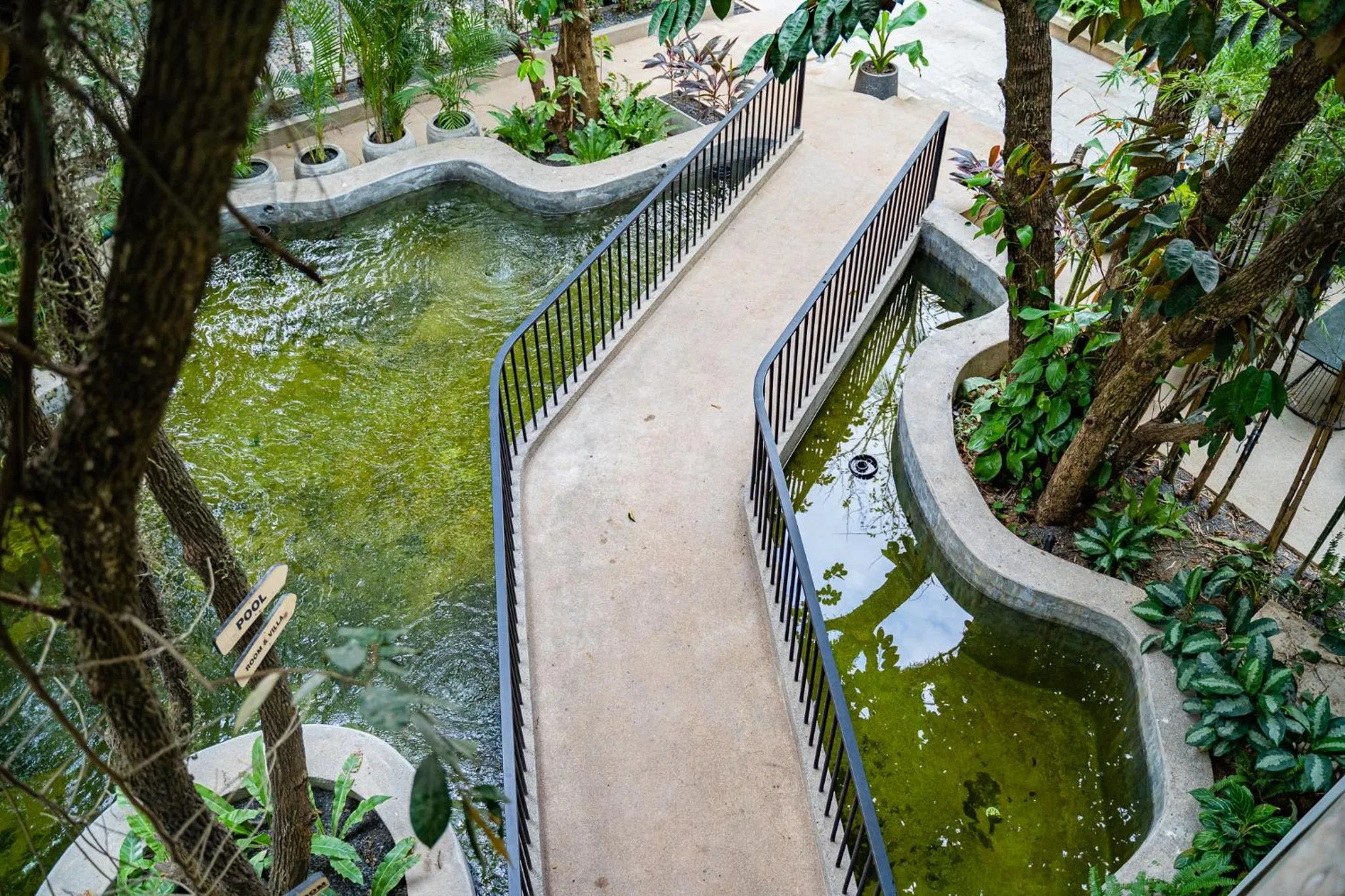 Natural landscape in Rainforest Hotel by NSUN