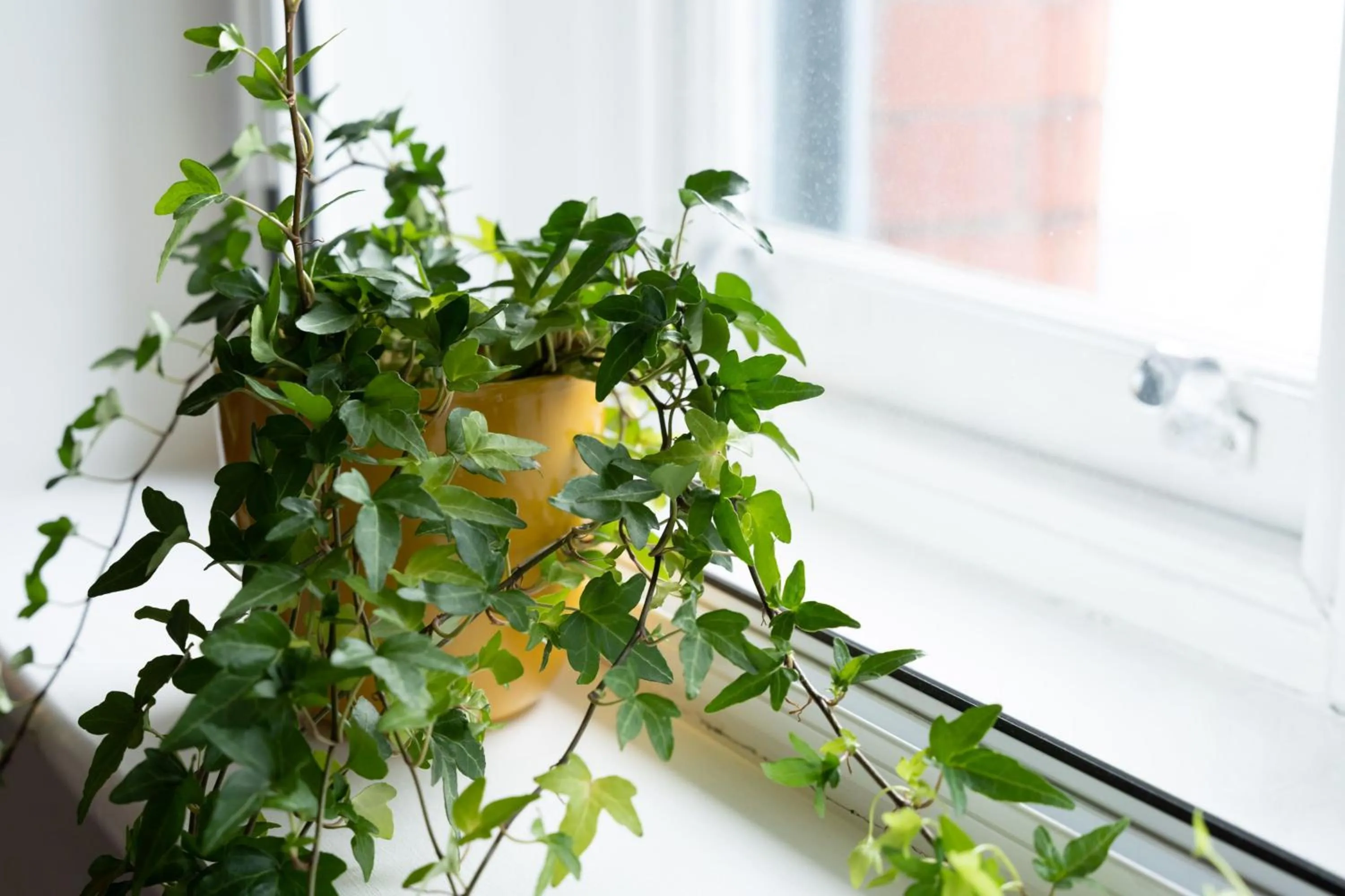 Living room in High Street Town House
