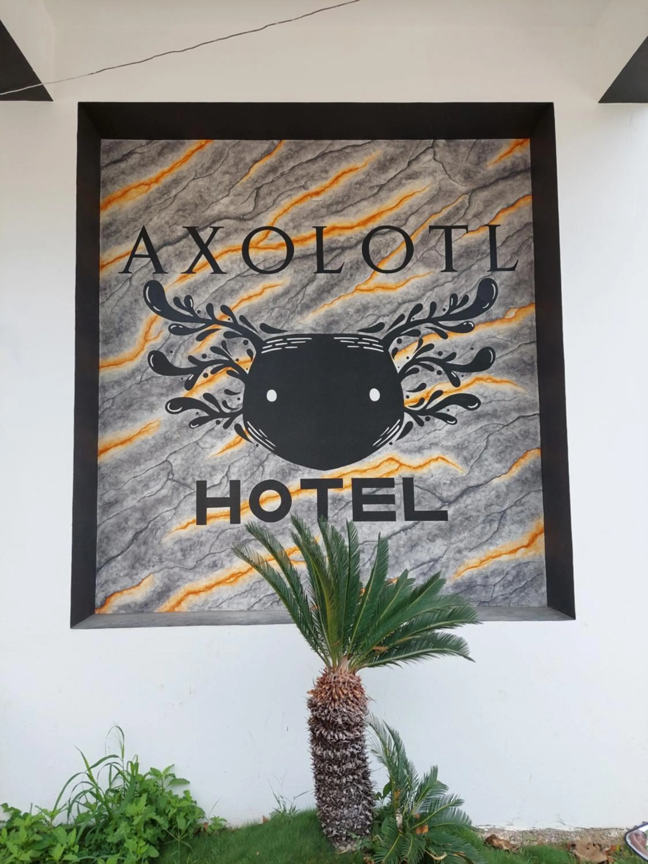 Facade/entrance in Hotel Axolotl