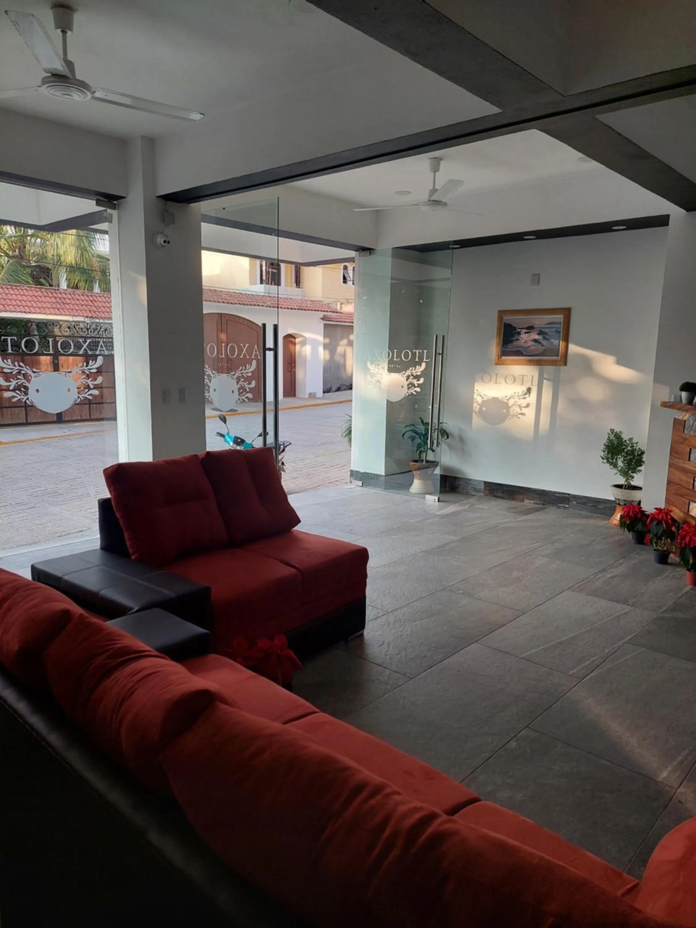 Lobby or reception in Hotel Axolotl