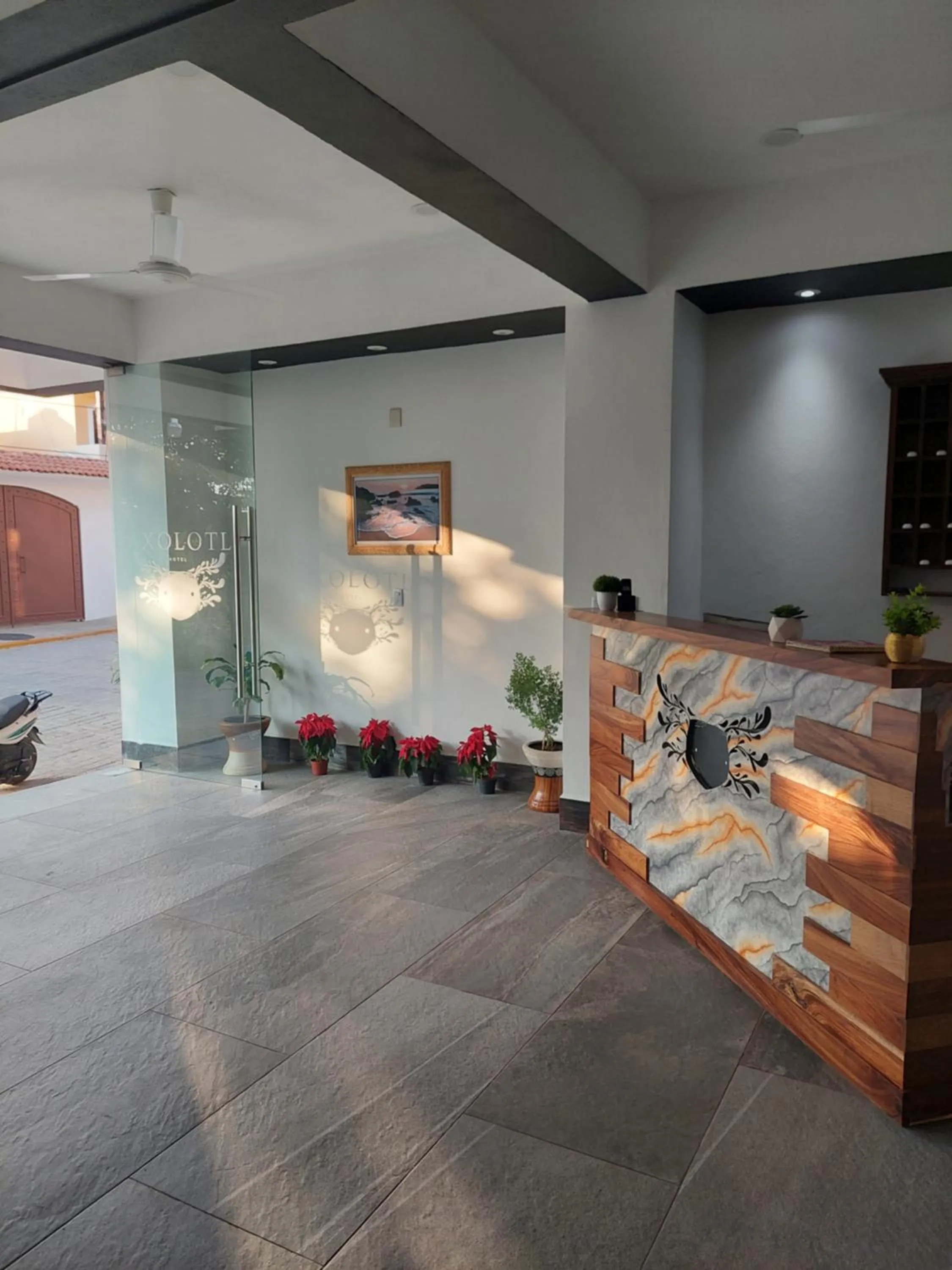 Living room in Hotel Axolotl