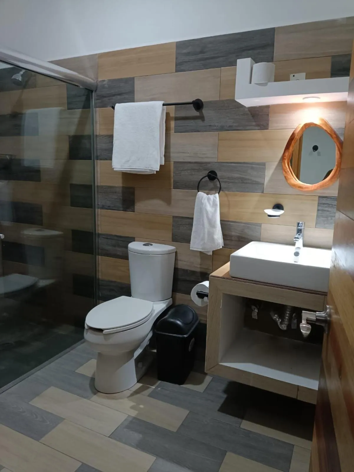 Toilet in Hotel Axolotl