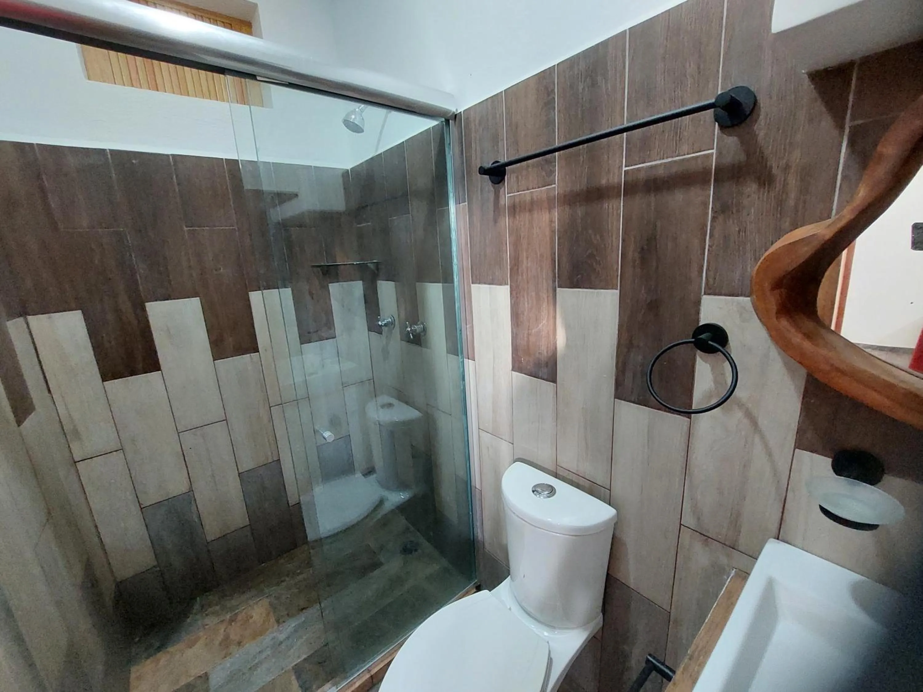 Shower in Hotel Axolotl