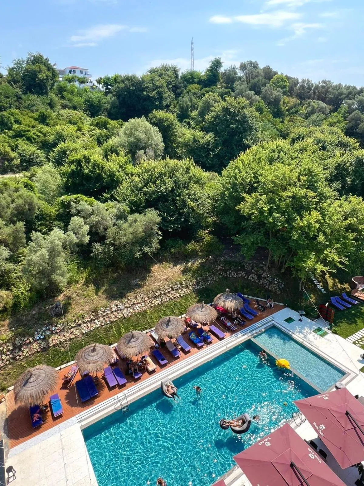 Natural landscape in Padel Olivia's Hill Resort