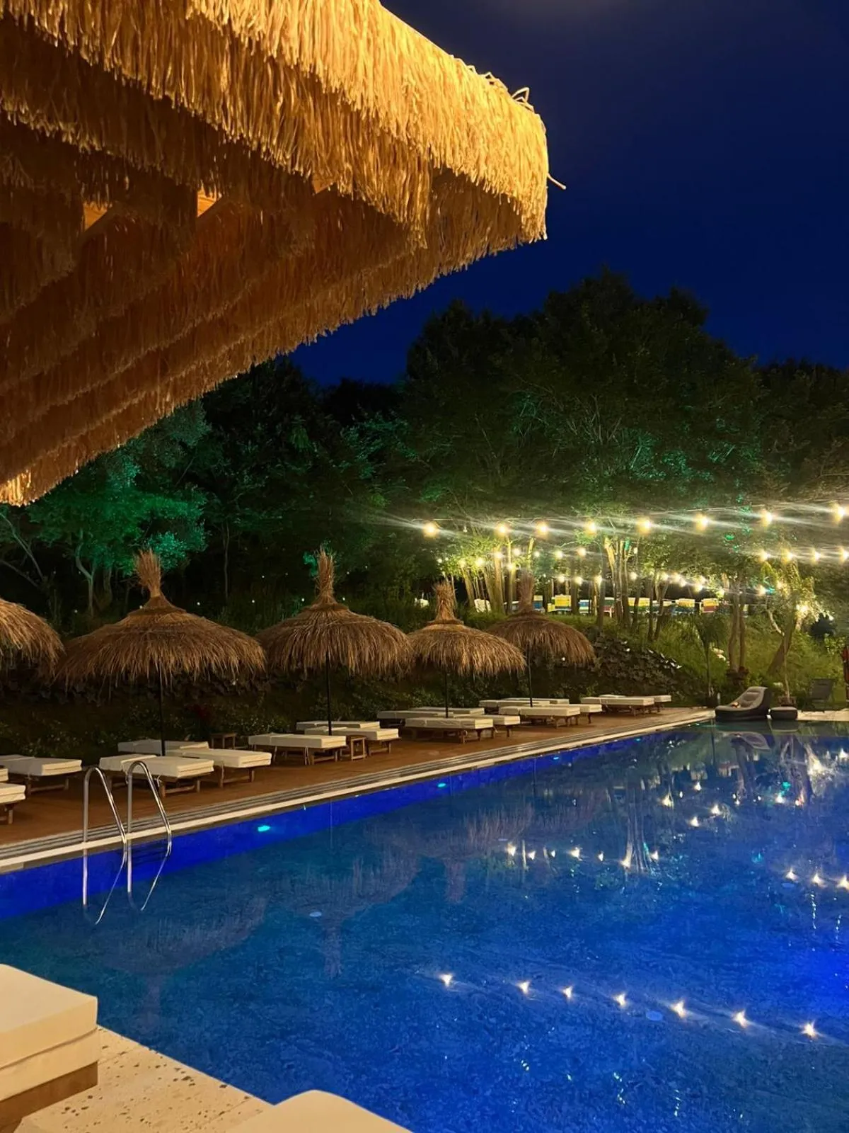 Swimming pool in Padel Olivia's Hill Resort