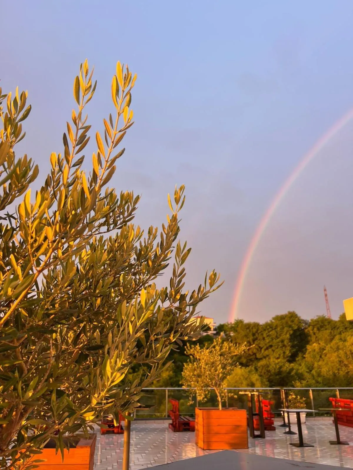 Balcony/Terrace in Padel Olivia's Hill Resort