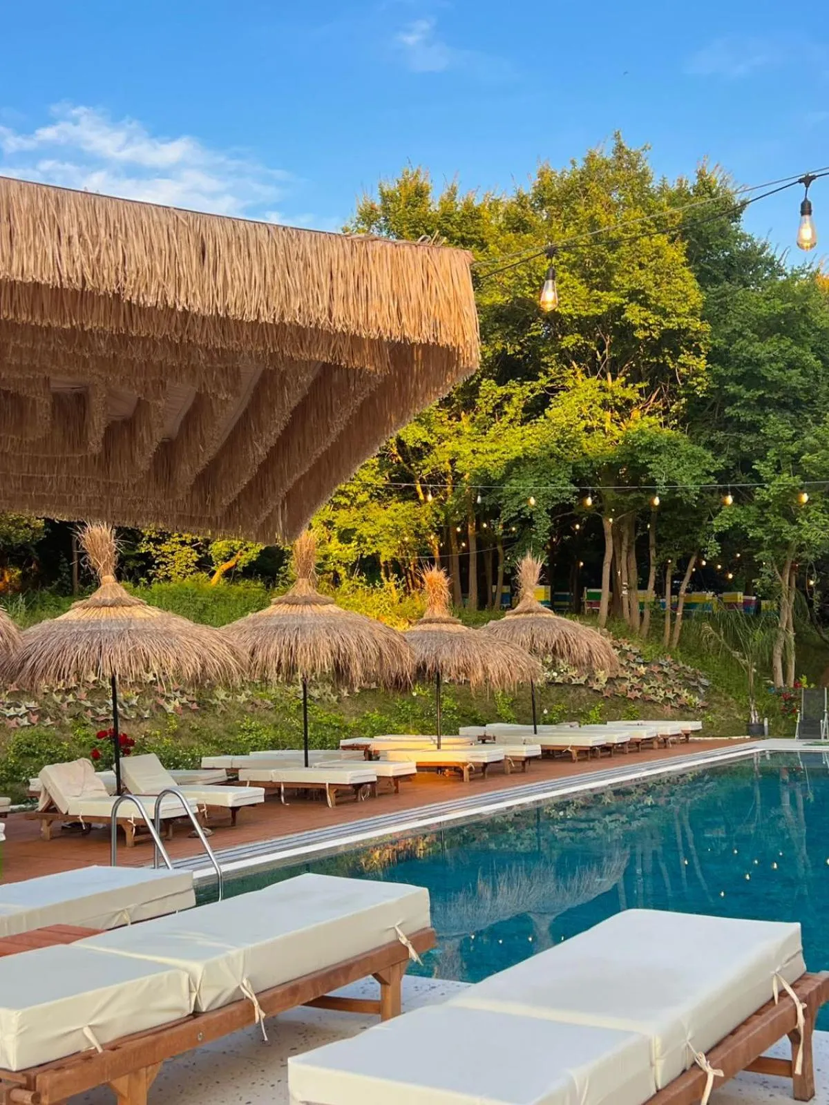 Pool view in Padel Olivia's Hill Resort