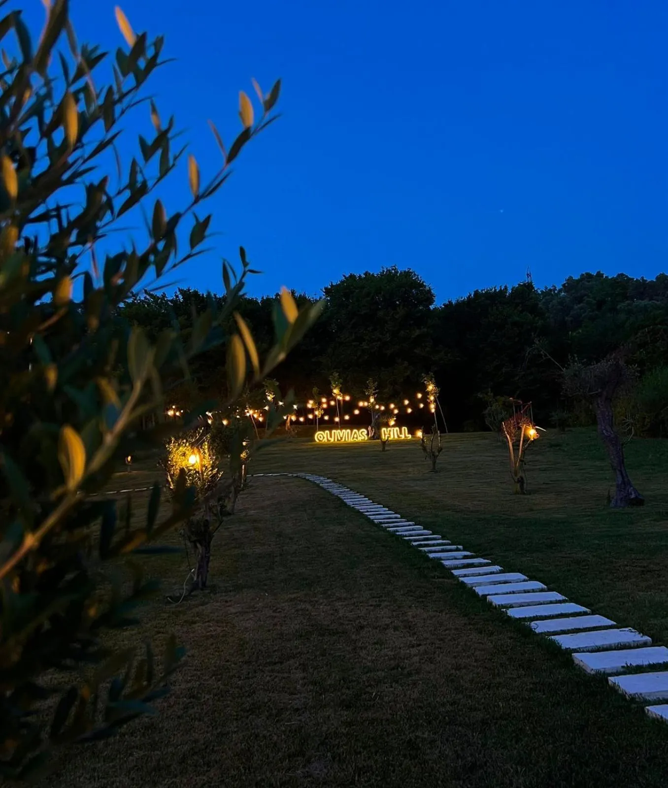 Natural landscape in Padel Olivia's Hill Resort