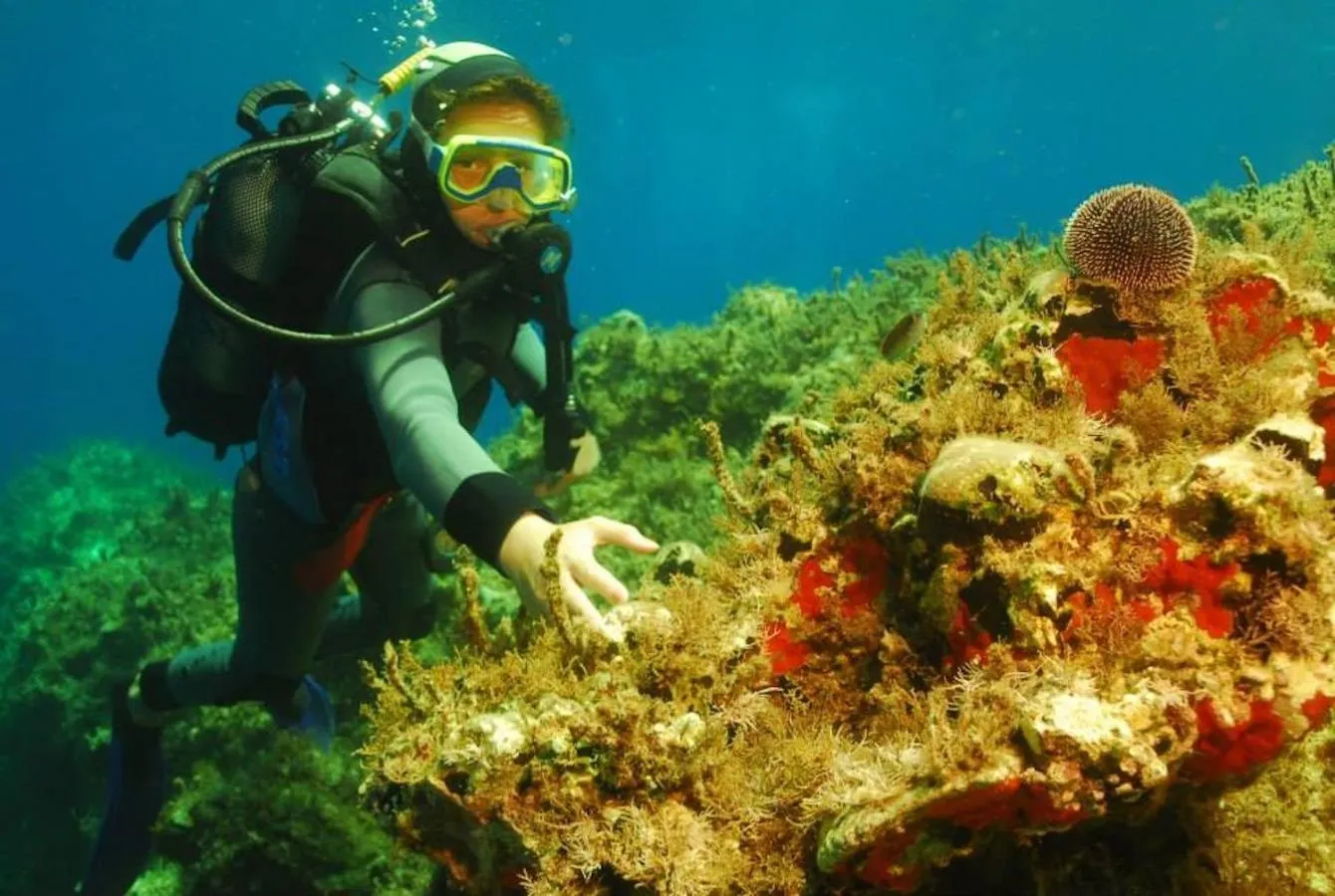 Activities in Kalypso Cretan Village Resort & Spa