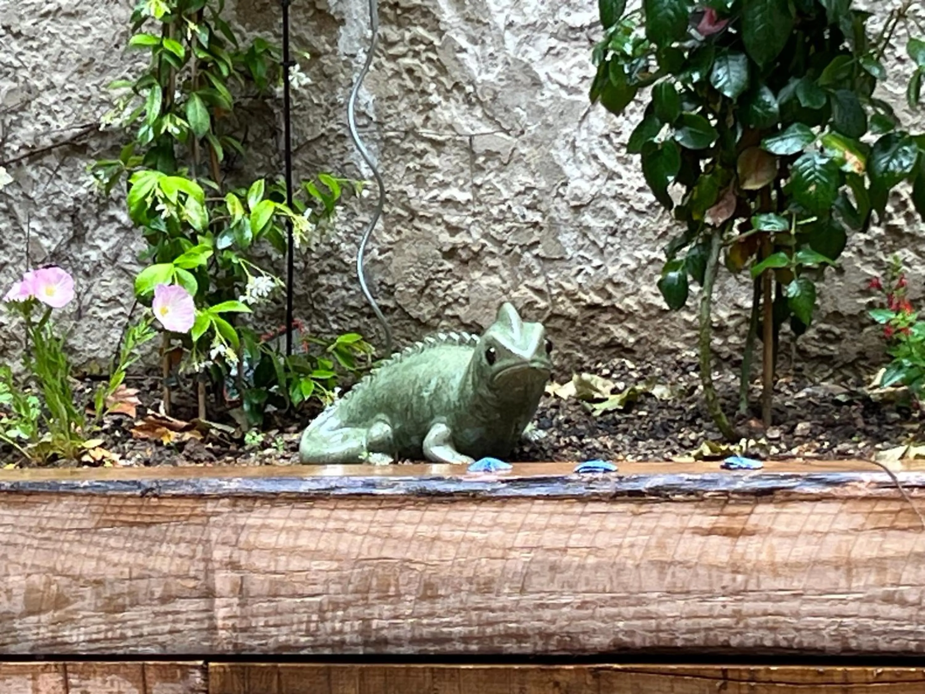 Garden in Le Clos d'Orange - Hotel & ville de Provence