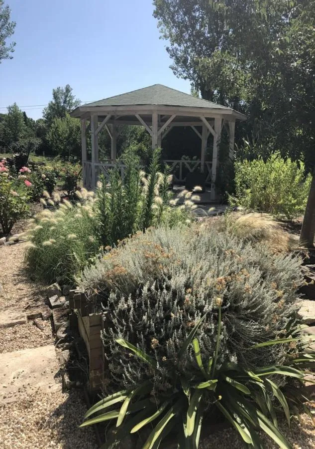 Garden in Mas Allard