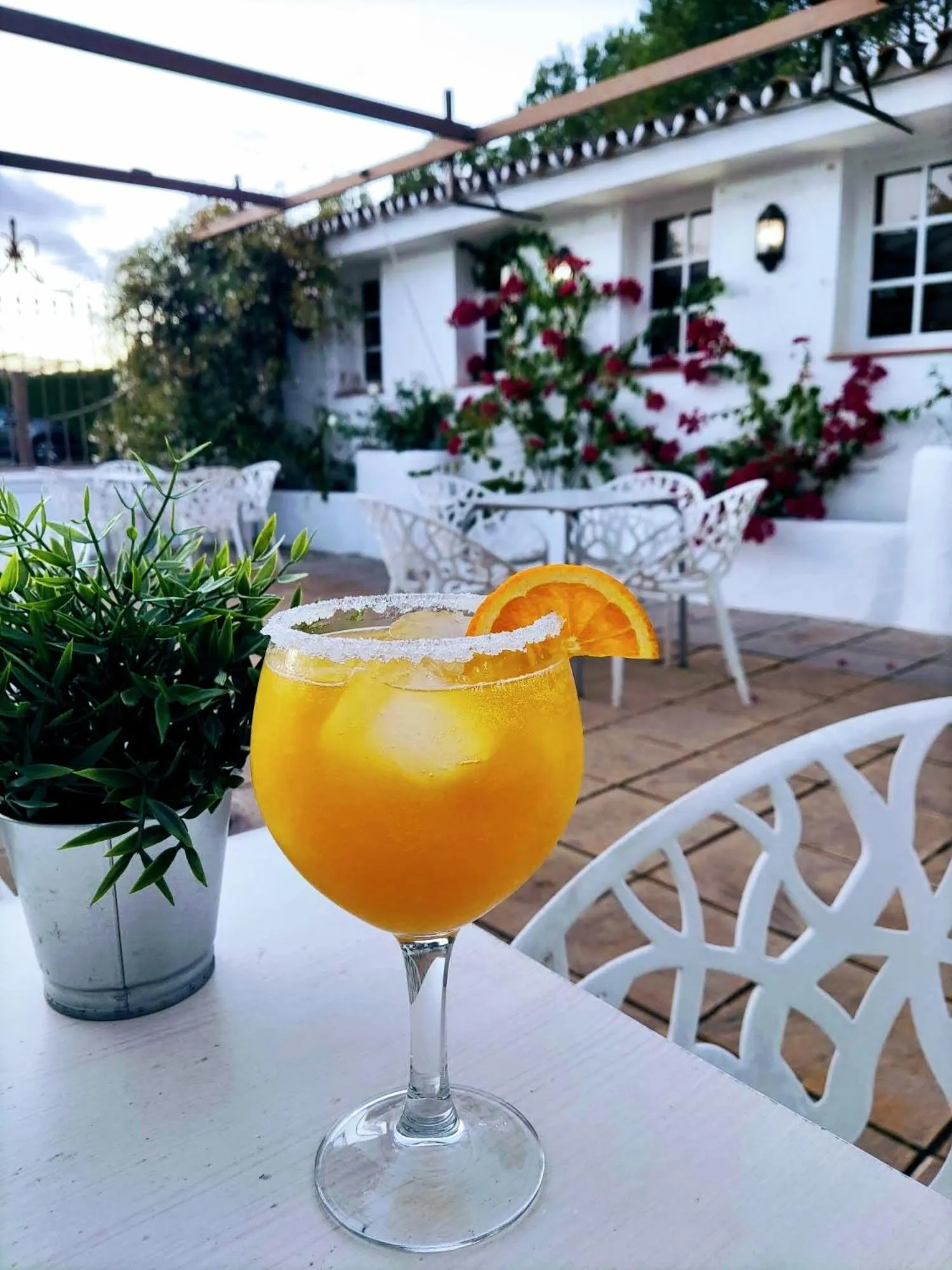 Patio in Hotel Ronda Valley
