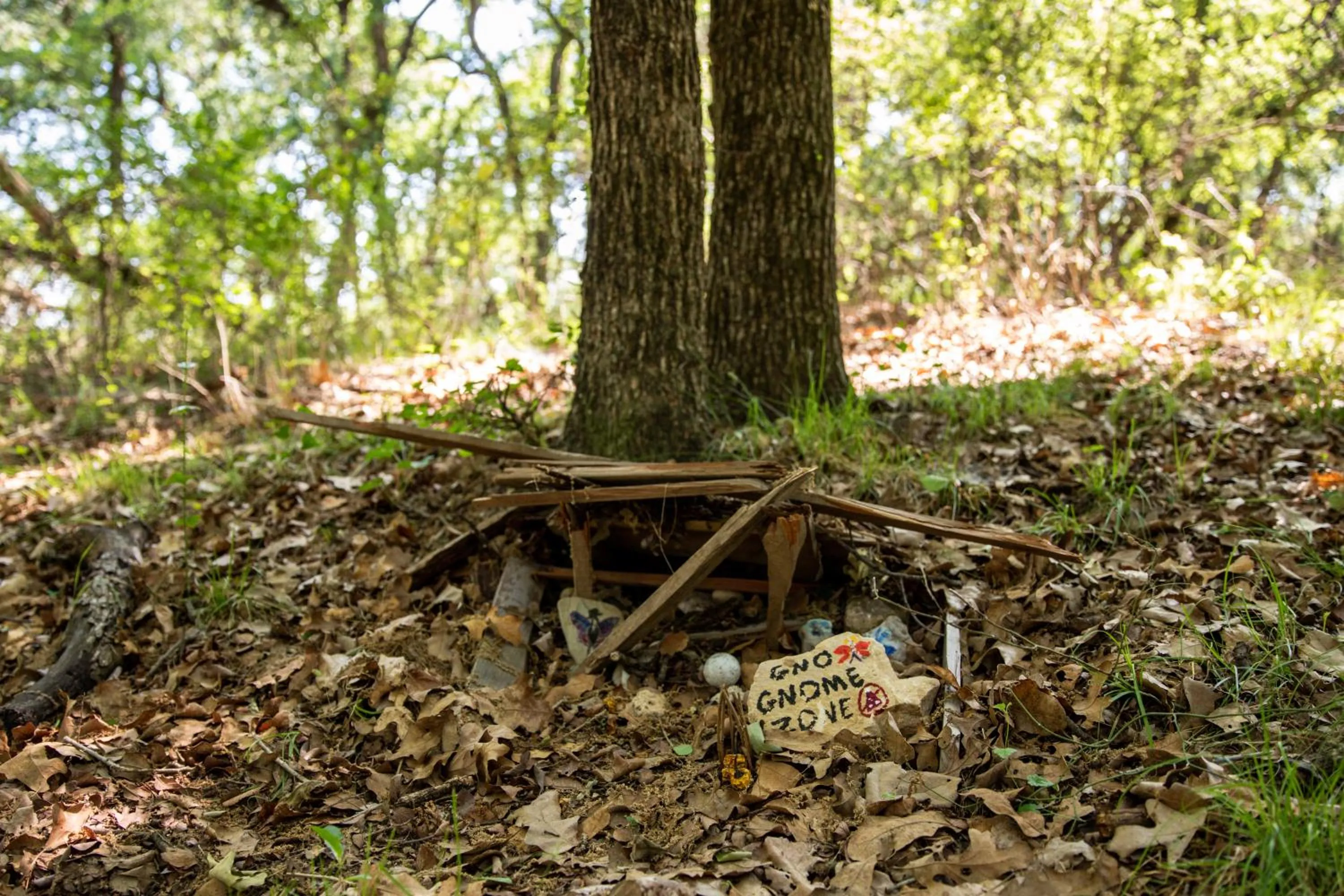 Hobbit Treehouse with waterfall on the Brazos River! 350 acres! Tubing! Petting zoo!