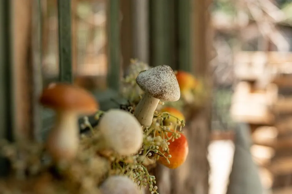 Hobbit Treehouse with waterfall on the Brazos River! 350 acres! Tubing! Petting zoo!