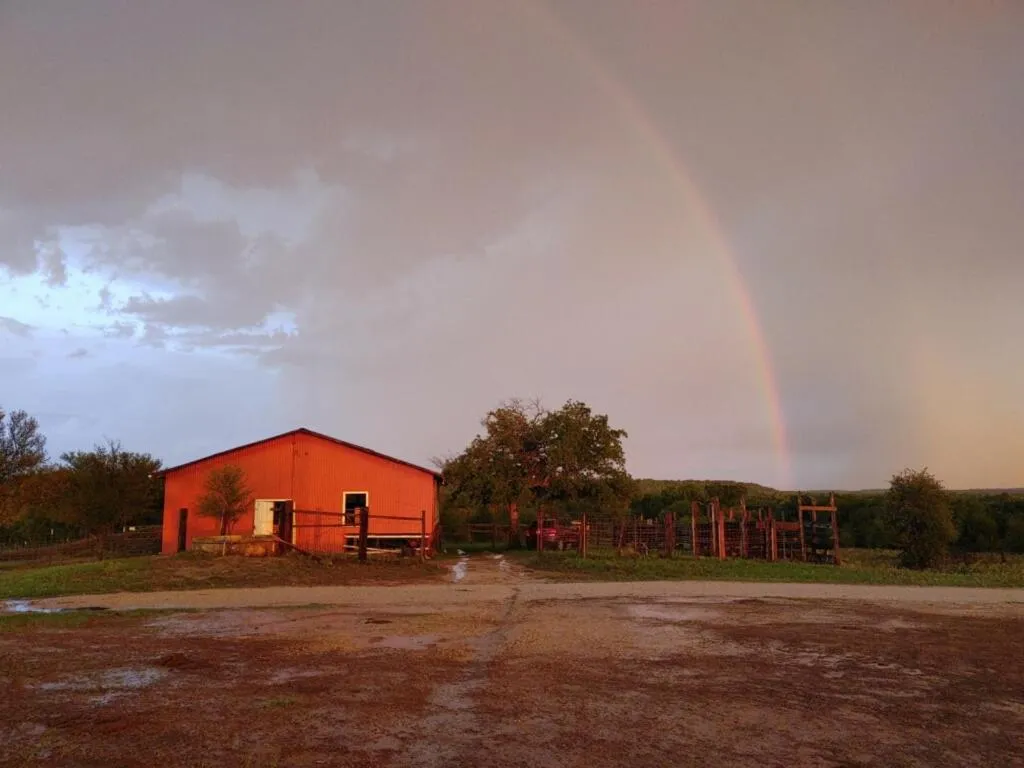 Property building in "Magical Treehouse" w spiral slide off the deck 350 acres on the Brazos River! Tubing! Petting Zoo!
