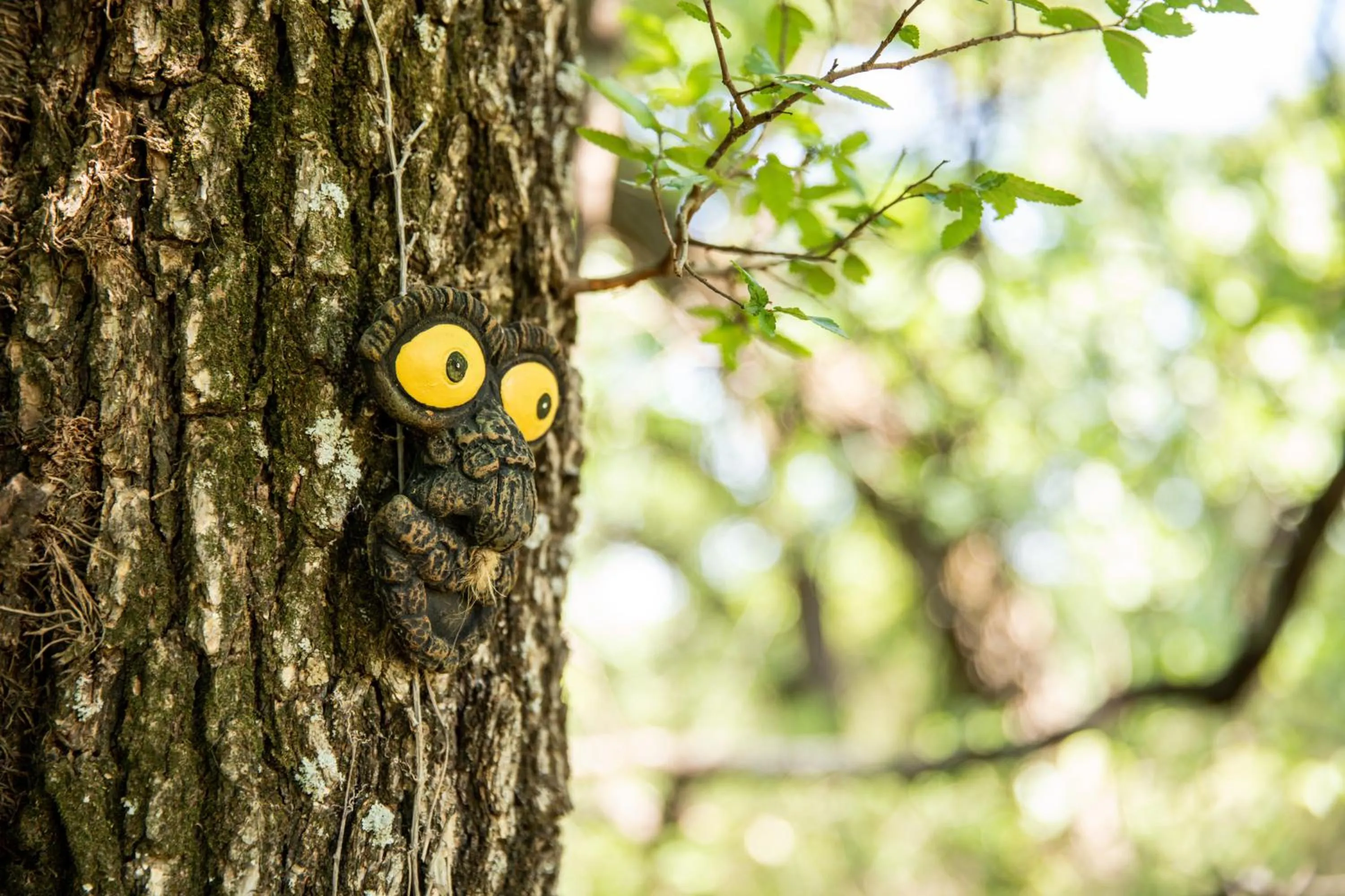Spring in "Magical Treehouse" w spiral slide off the deck 350 acres on the Brazos River! Tubing! Petting Zoo!