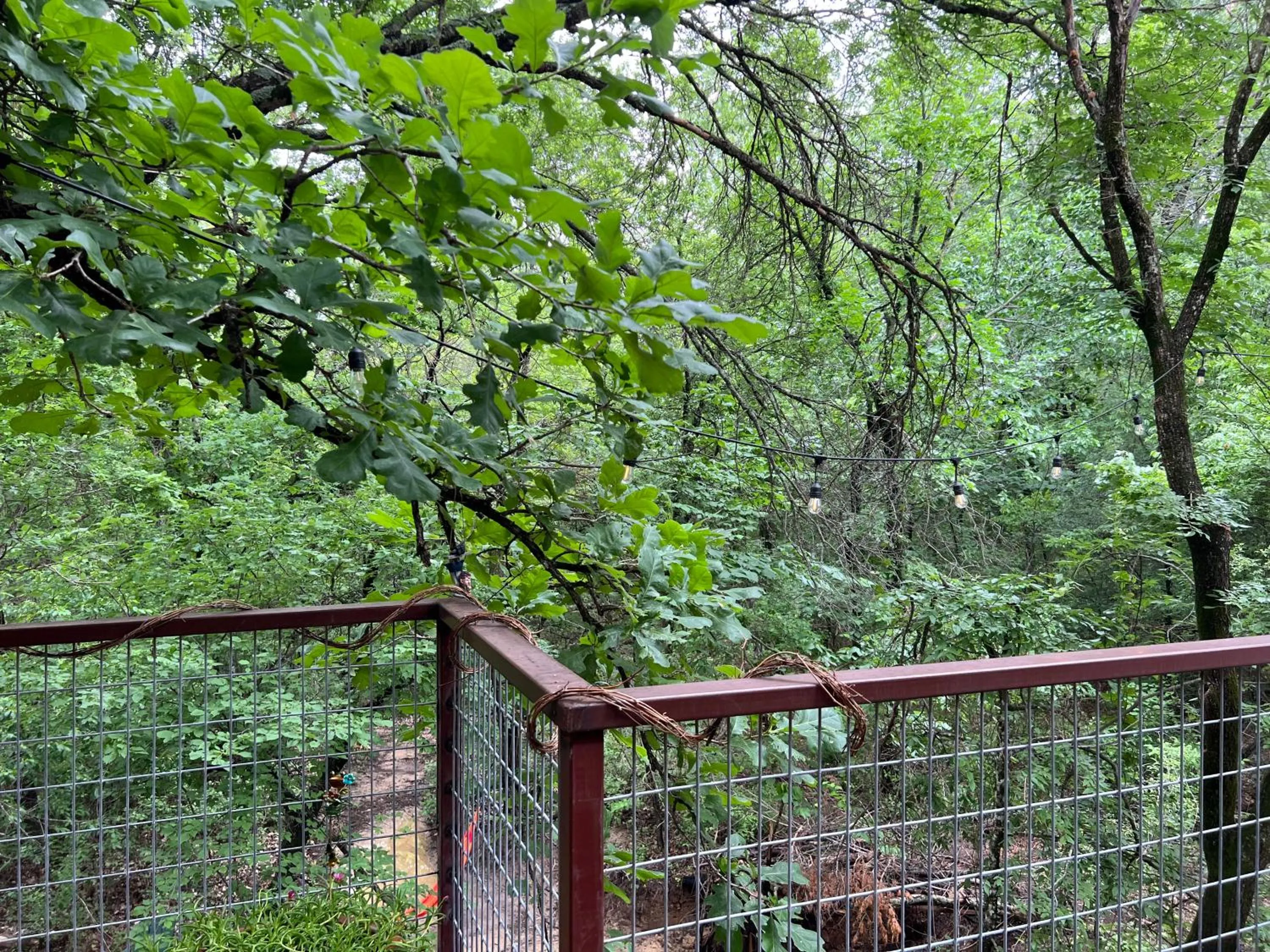 Natural landscape in "Magical Treehouse" w spiral slide off the deck 350 acres on the Brazos River! Tubing! Petting Zoo!