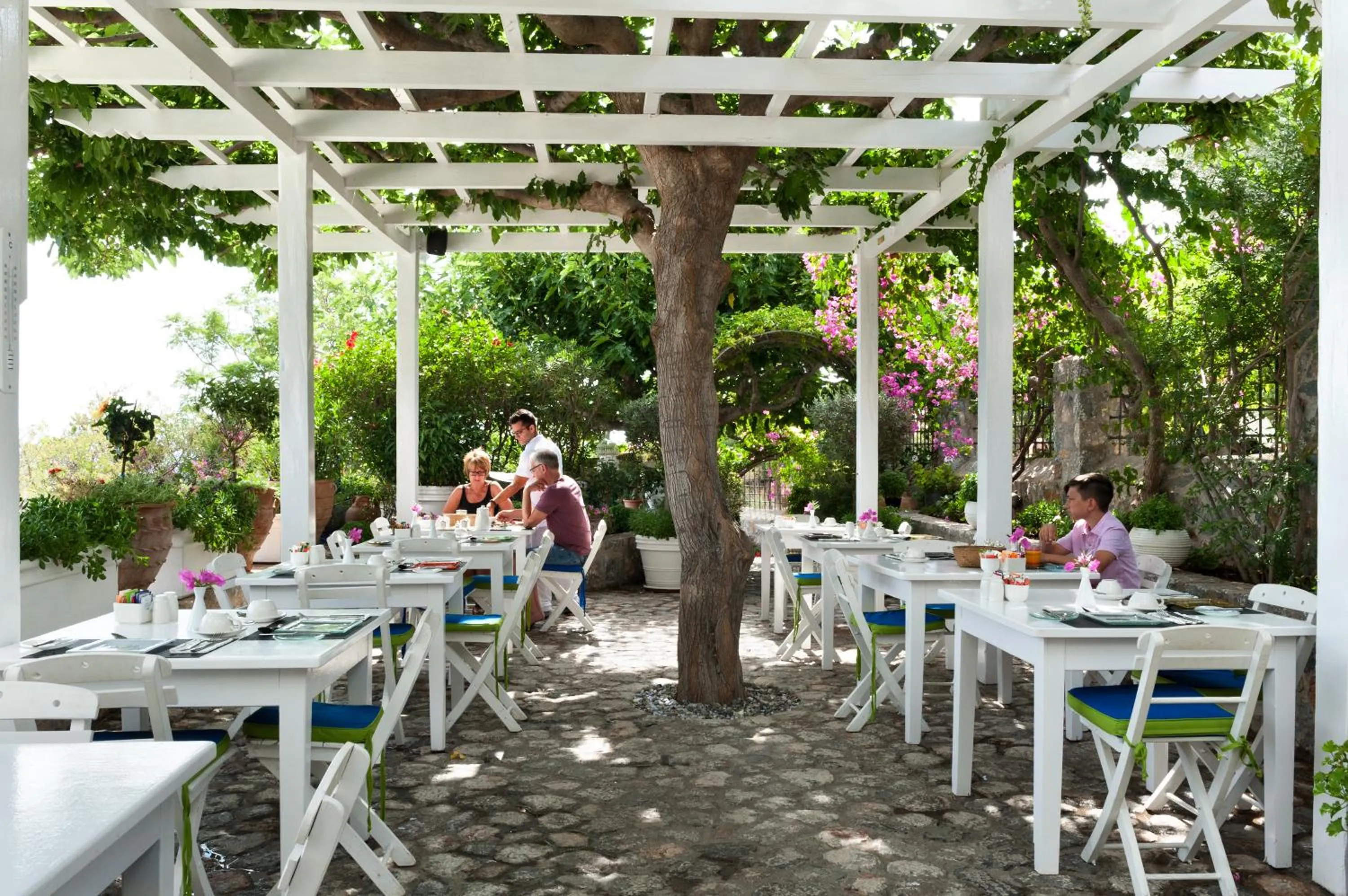 Garden in Melenos Art Boutique Hotel