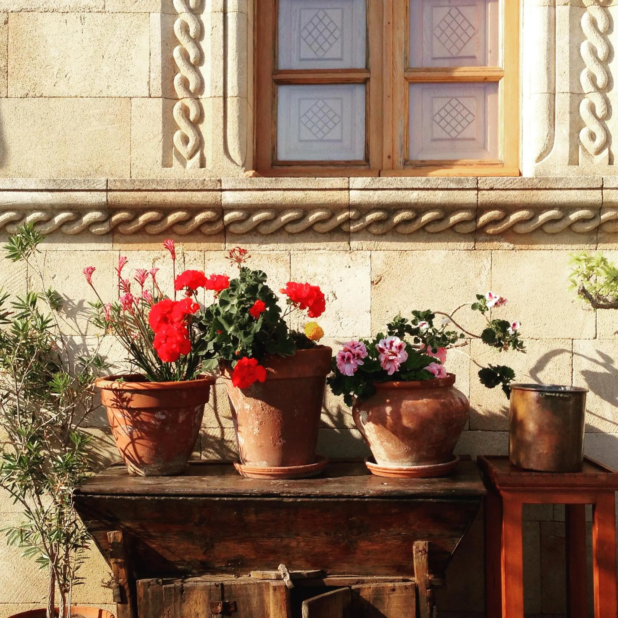 Area and facilities in Melenos Art Boutique Hotel