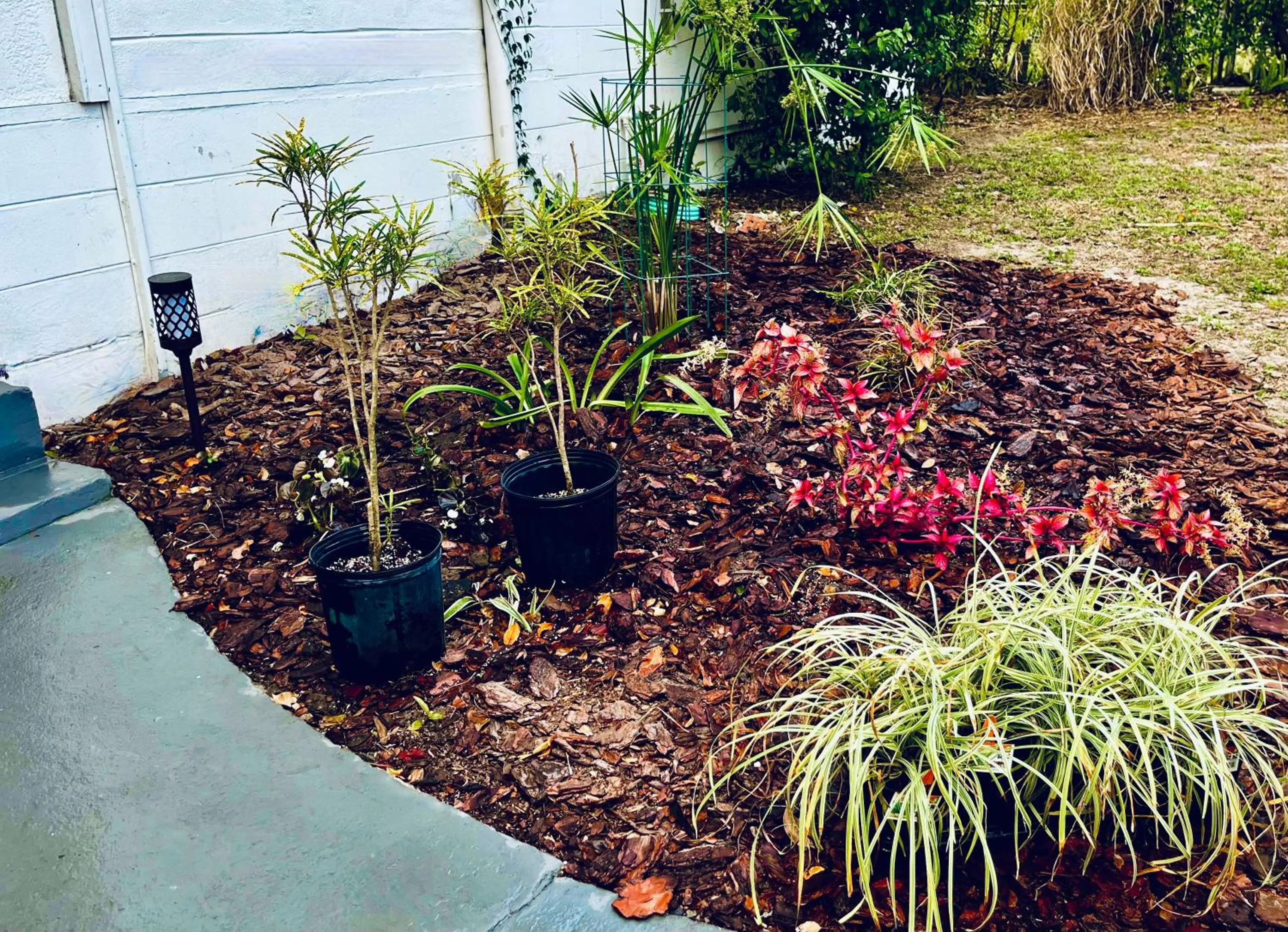 Garden in Park View East