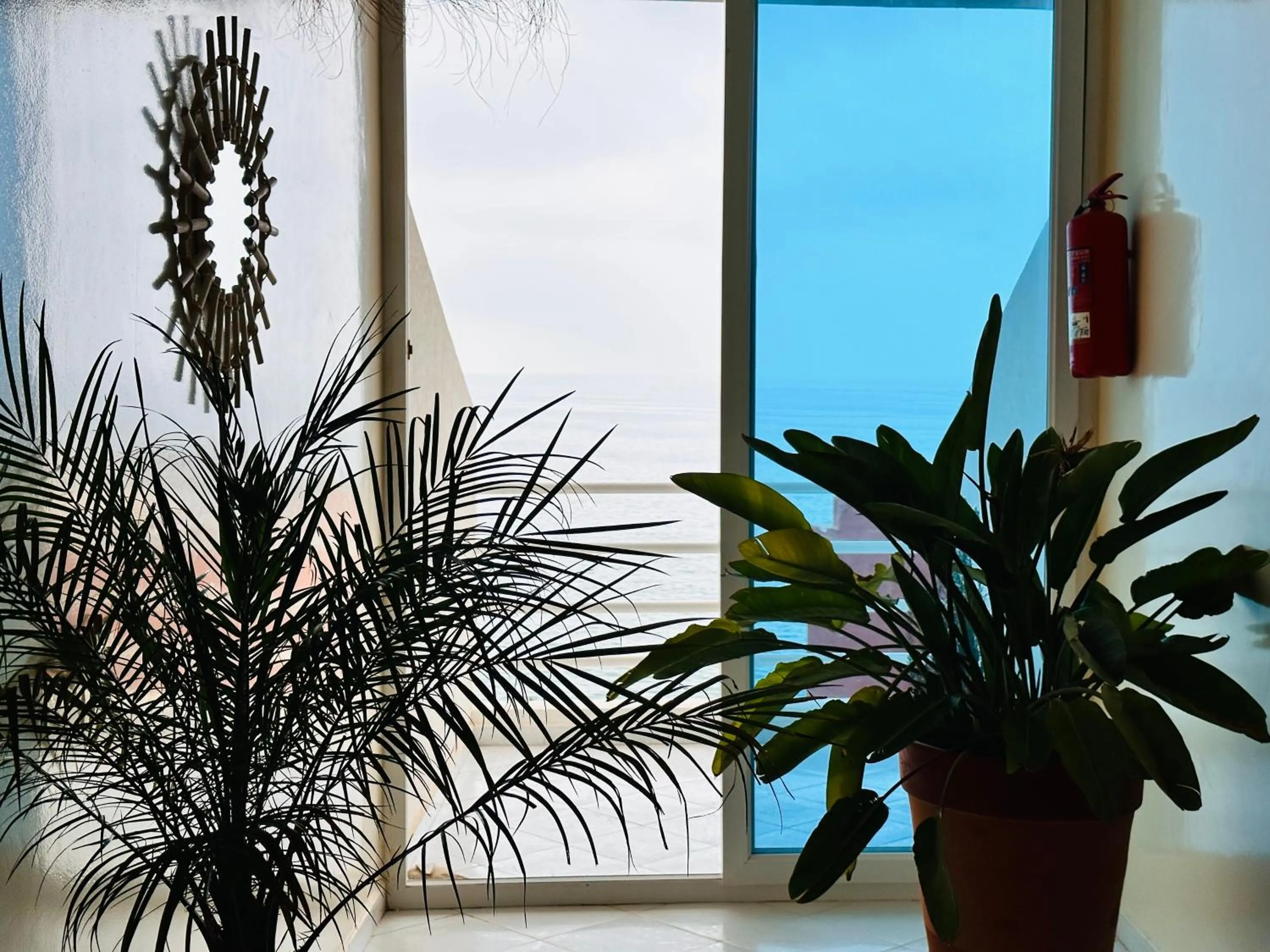 Property building in Locals Taghazout surfcamp