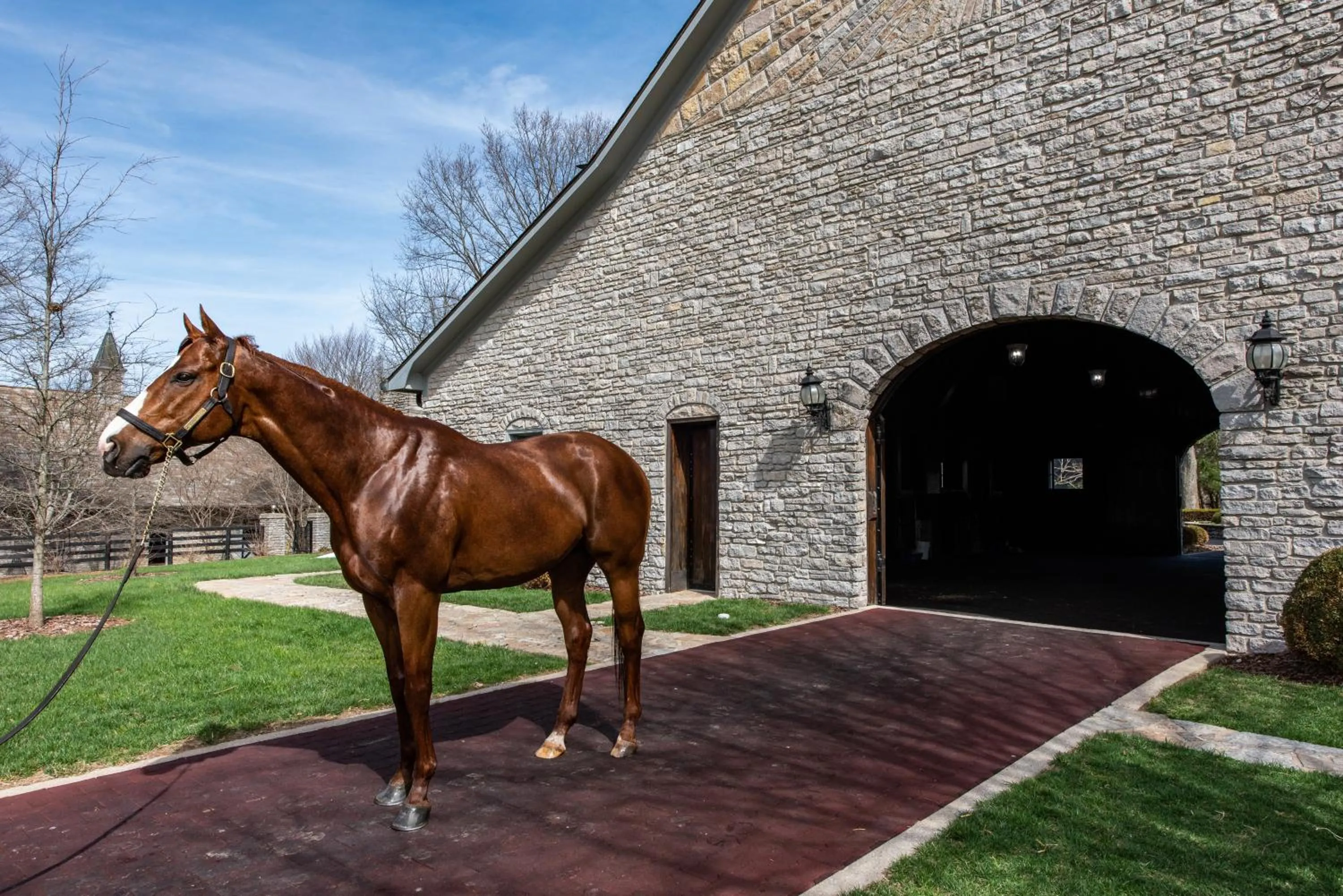 Nearby landmark in The Woodford Hotel