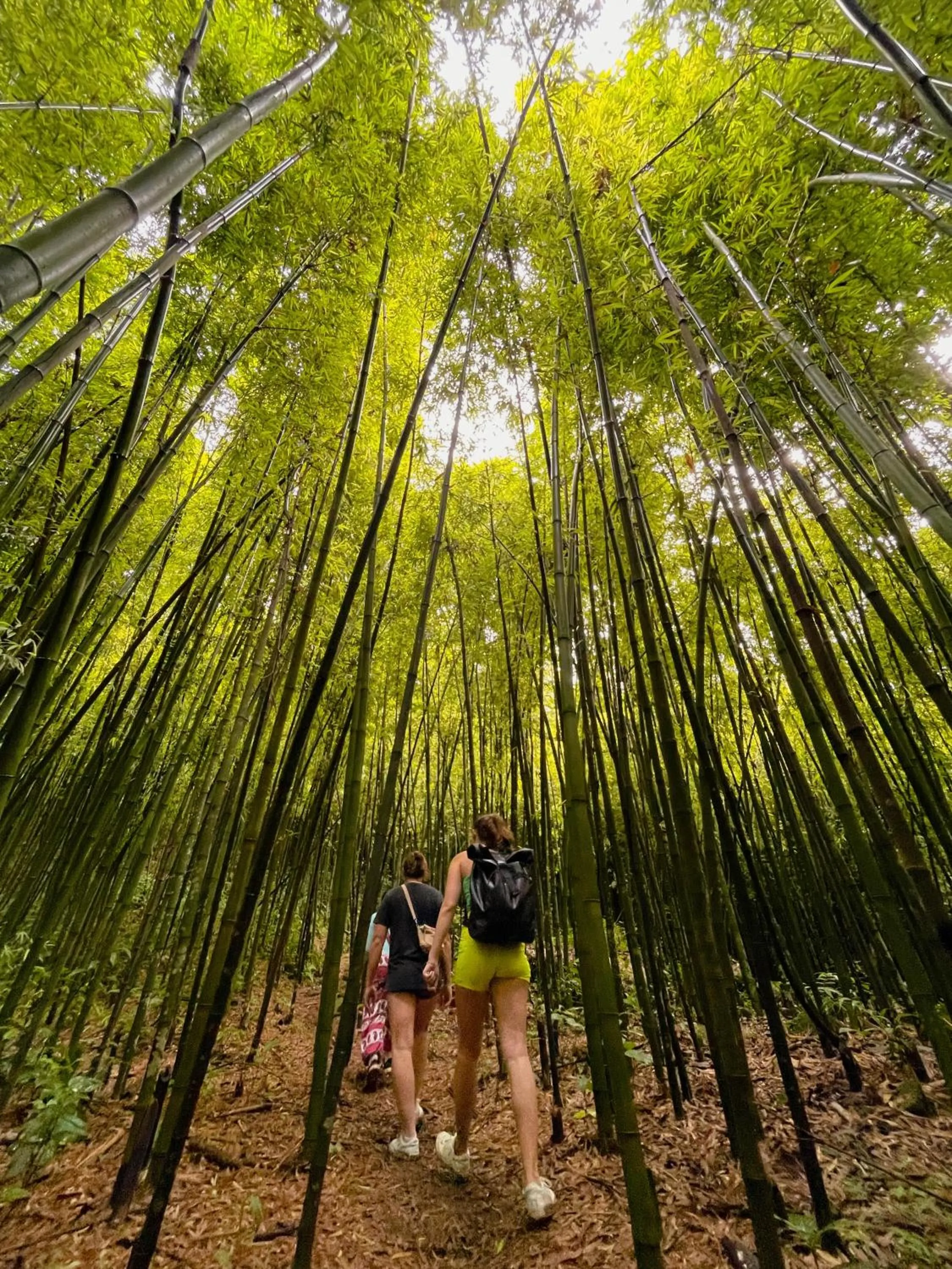 Day in Moc Home Sapa