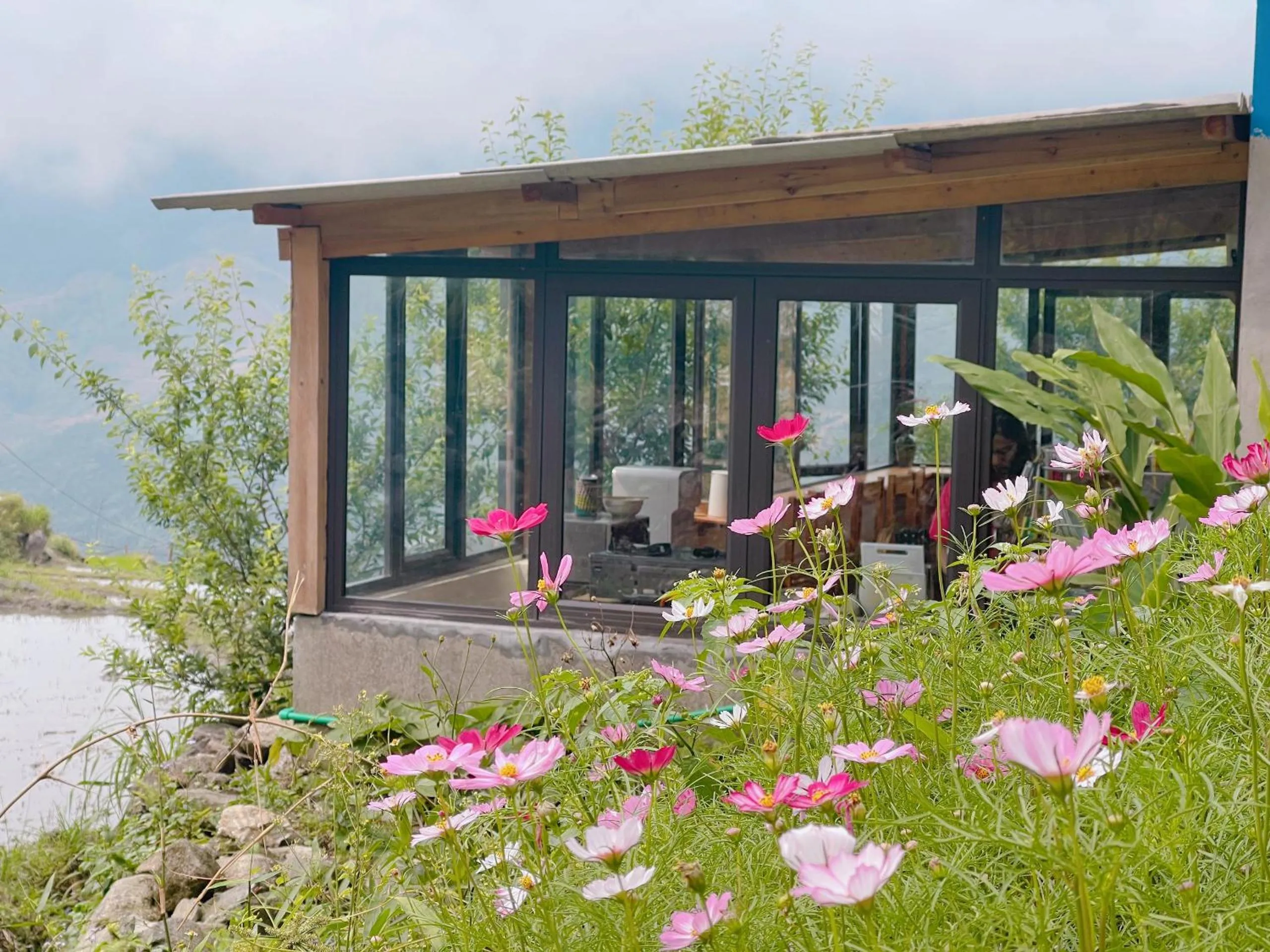 Natural landscape in Moc Home Sapa