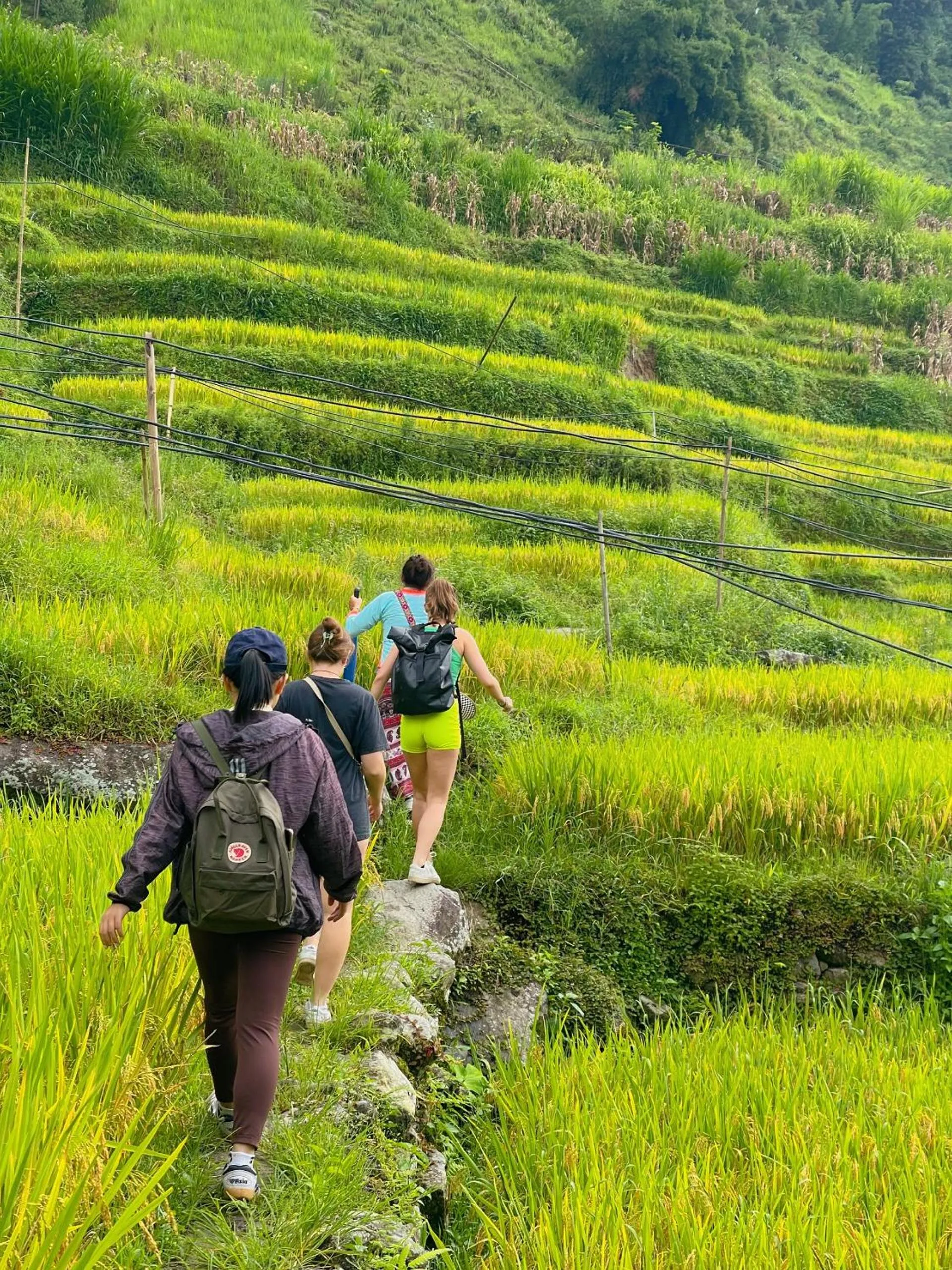 Spring in Moc Home Sapa