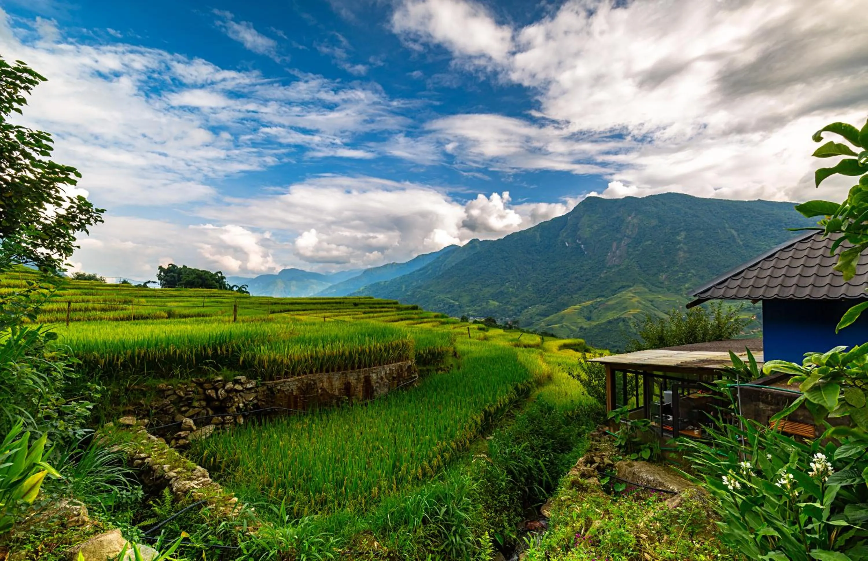 View (from property/room) in Moc Home Sapa