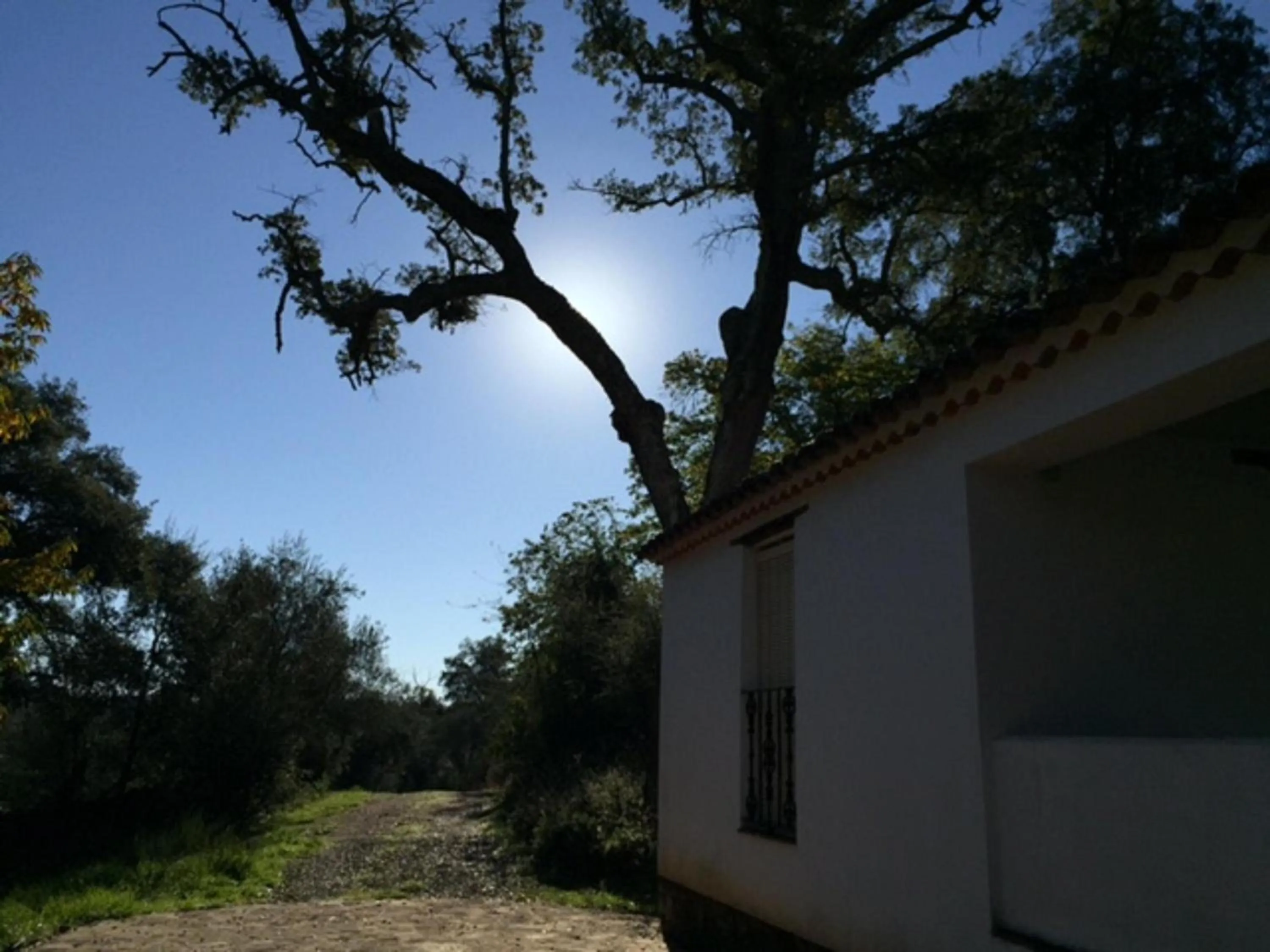Decorative detail in Finca Valbono Apartamentos Rurales y Hotel