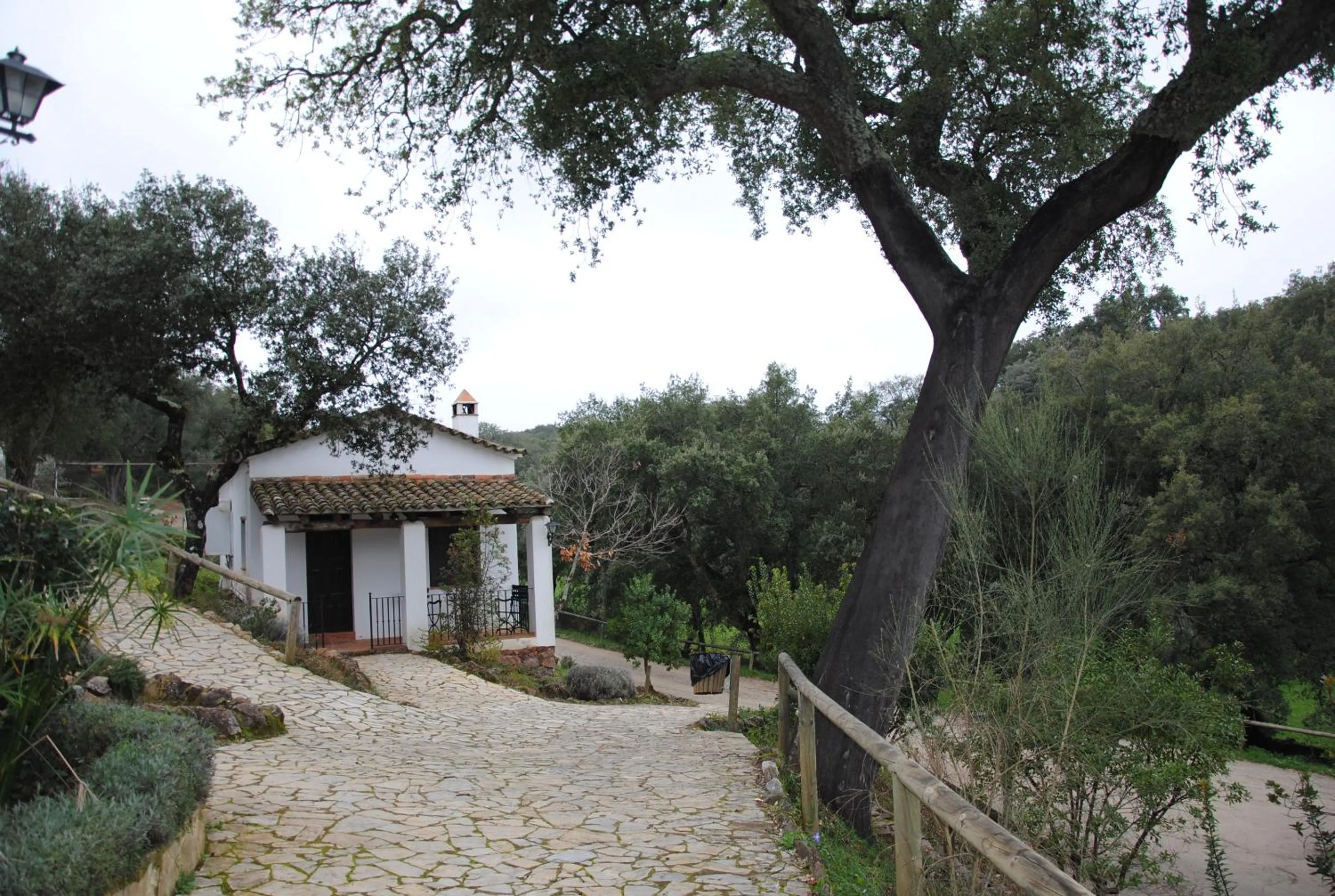 Business facilities in Finca Valbono Apartamentos Rurales y Hotel