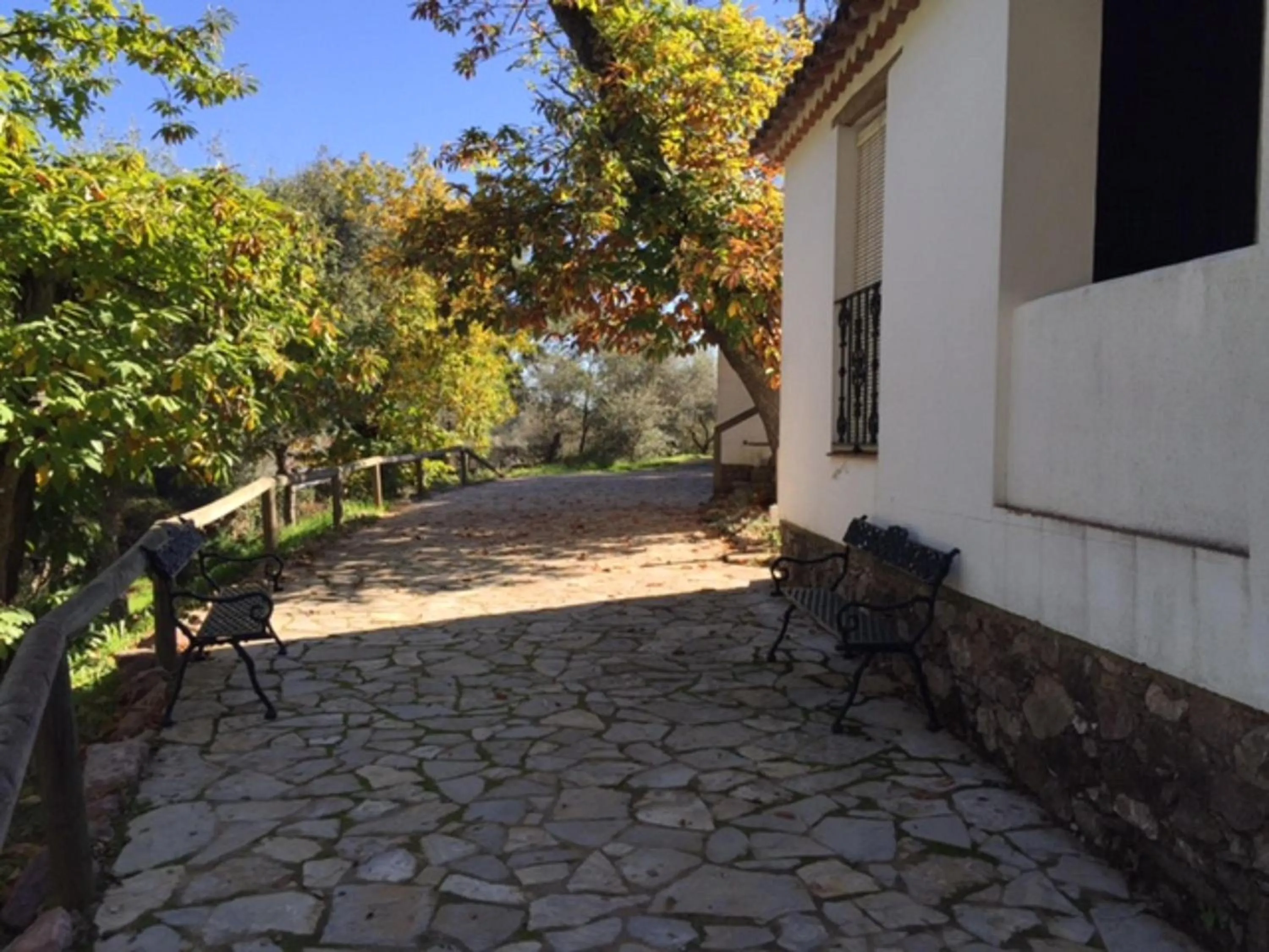 Area and facilities in Finca Valbono Apartamentos Rurales y Hotel