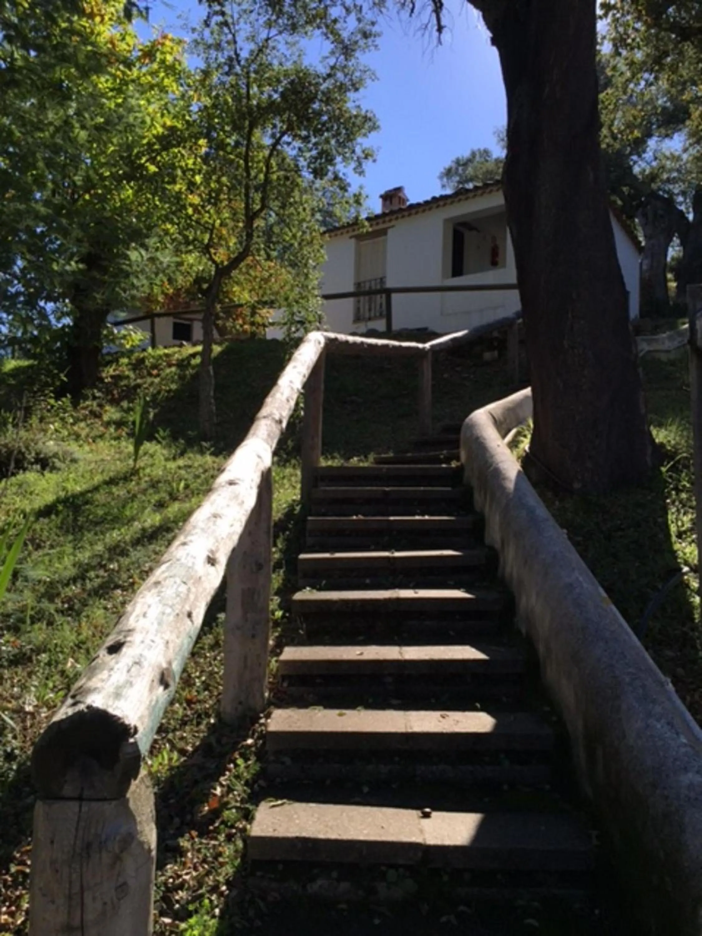 Garden in Finca Valbono Apartamentos Rurales y Hotel