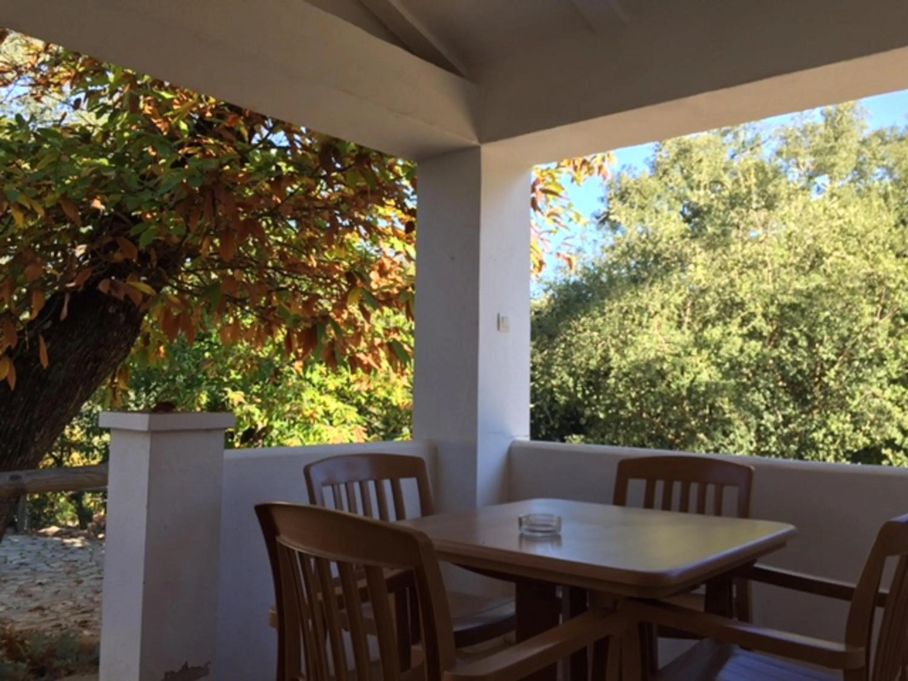 Patio in Finca Valbono Apartamentos Rurales y Hotel