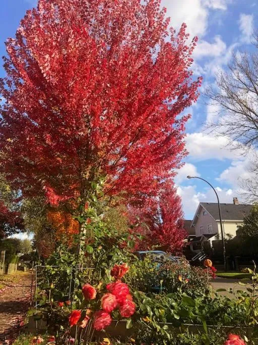 Day in Super Cosy 8Bed & 6Bath in Vancouver heart near to airport and DownTown