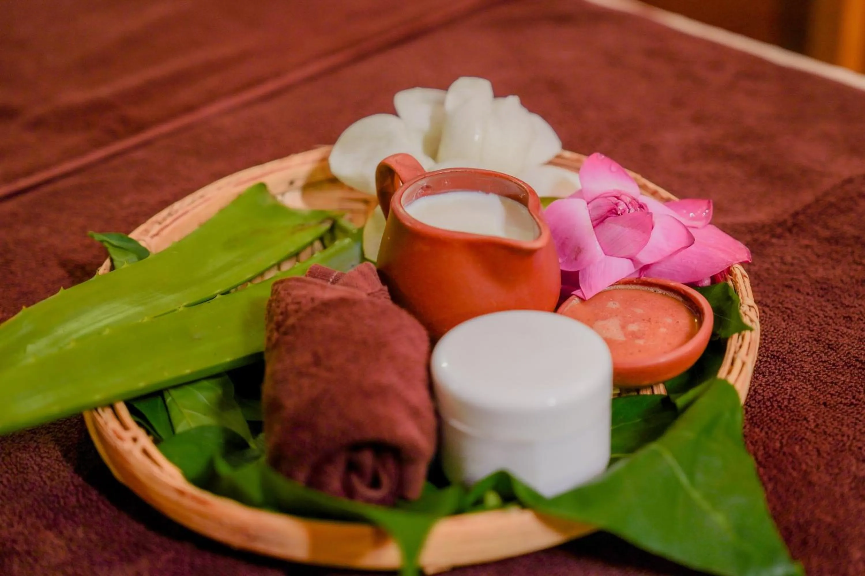 Spa and wellness centre/facilities in Celestia Ayurveda Resort