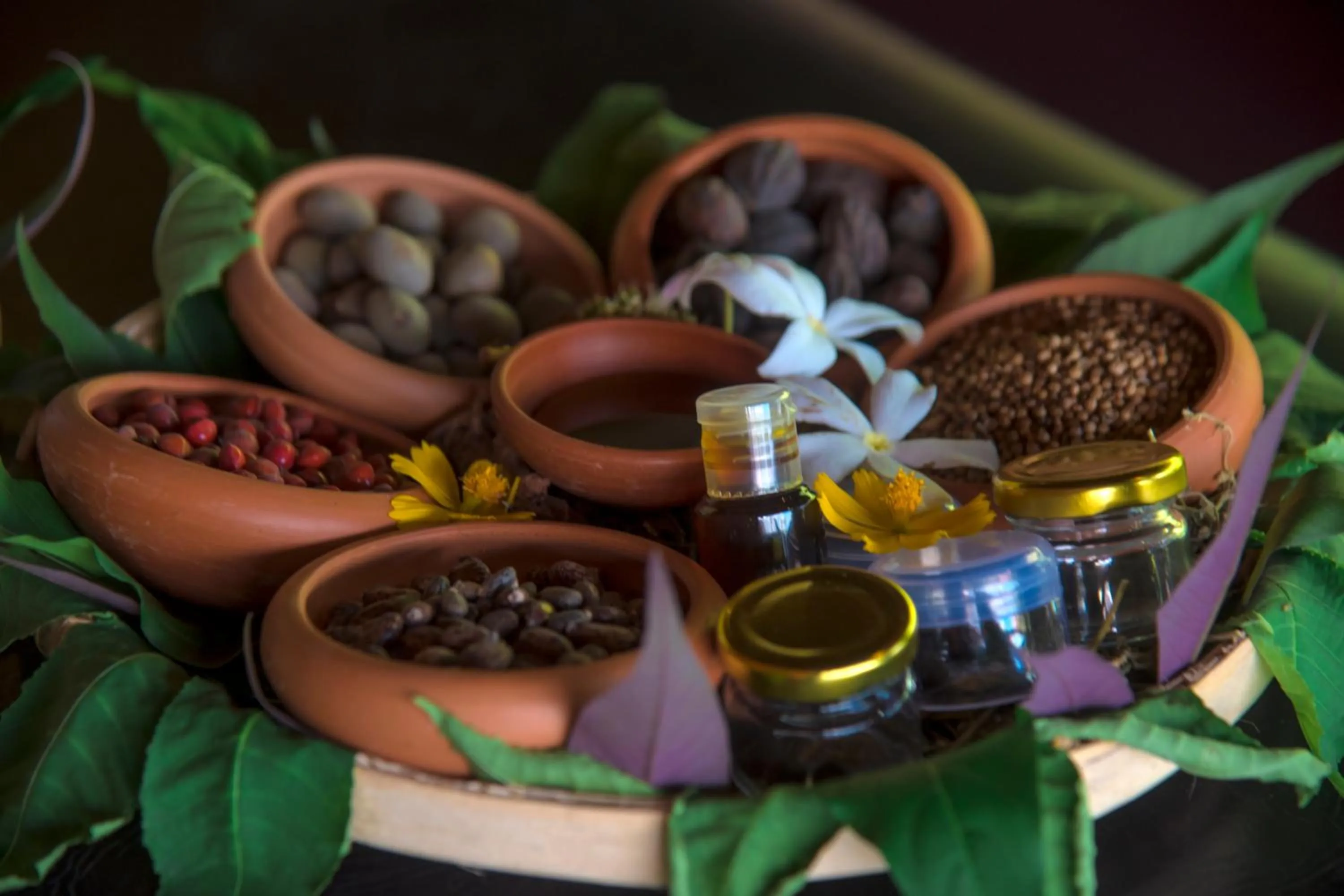 Spa and wellness centre/facilities in Celestia Ayurveda Resort