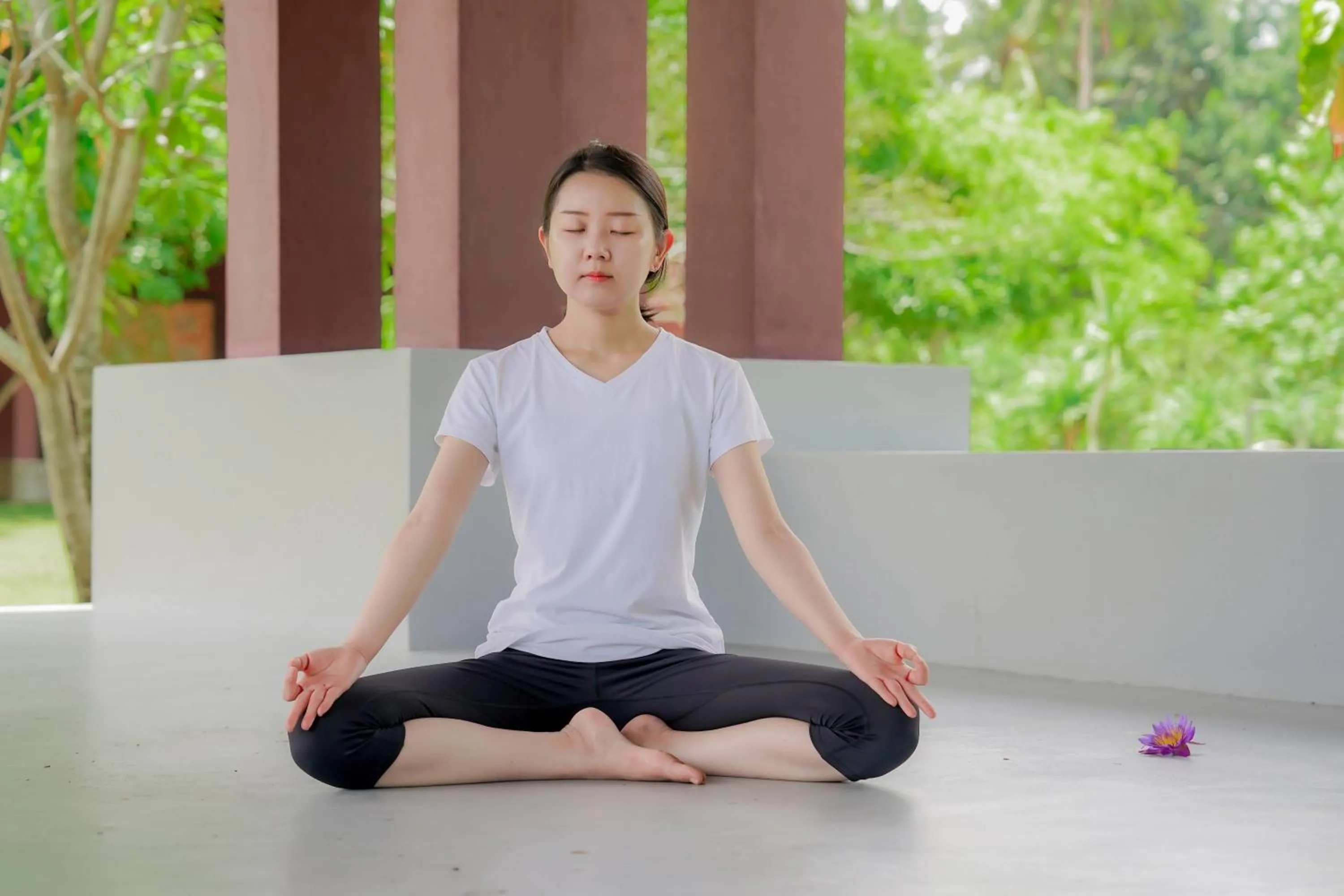 Day in Celestia Ayurveda Resort