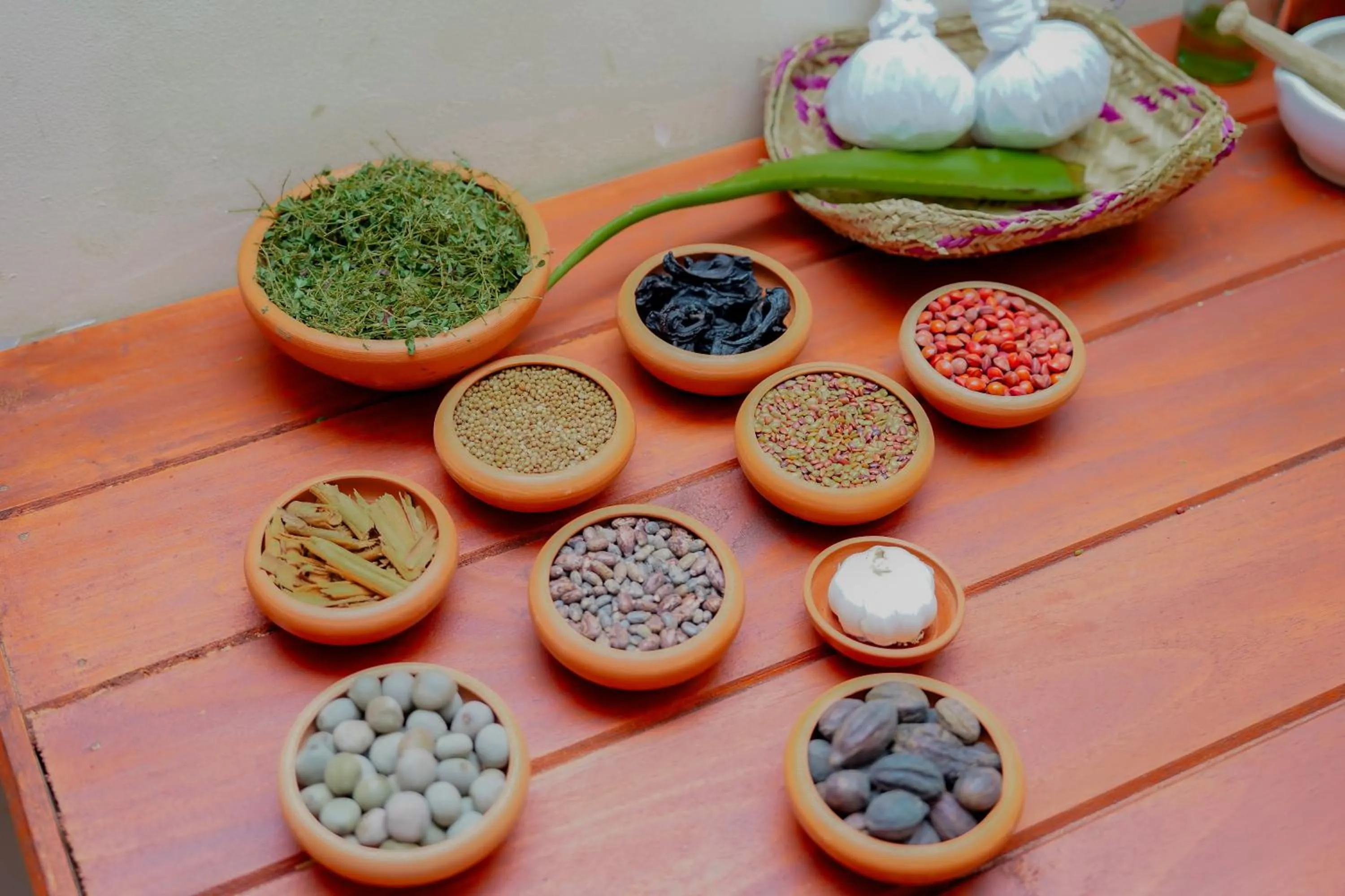 Spa and wellness centre/facilities in Celestia Ayurveda Resort