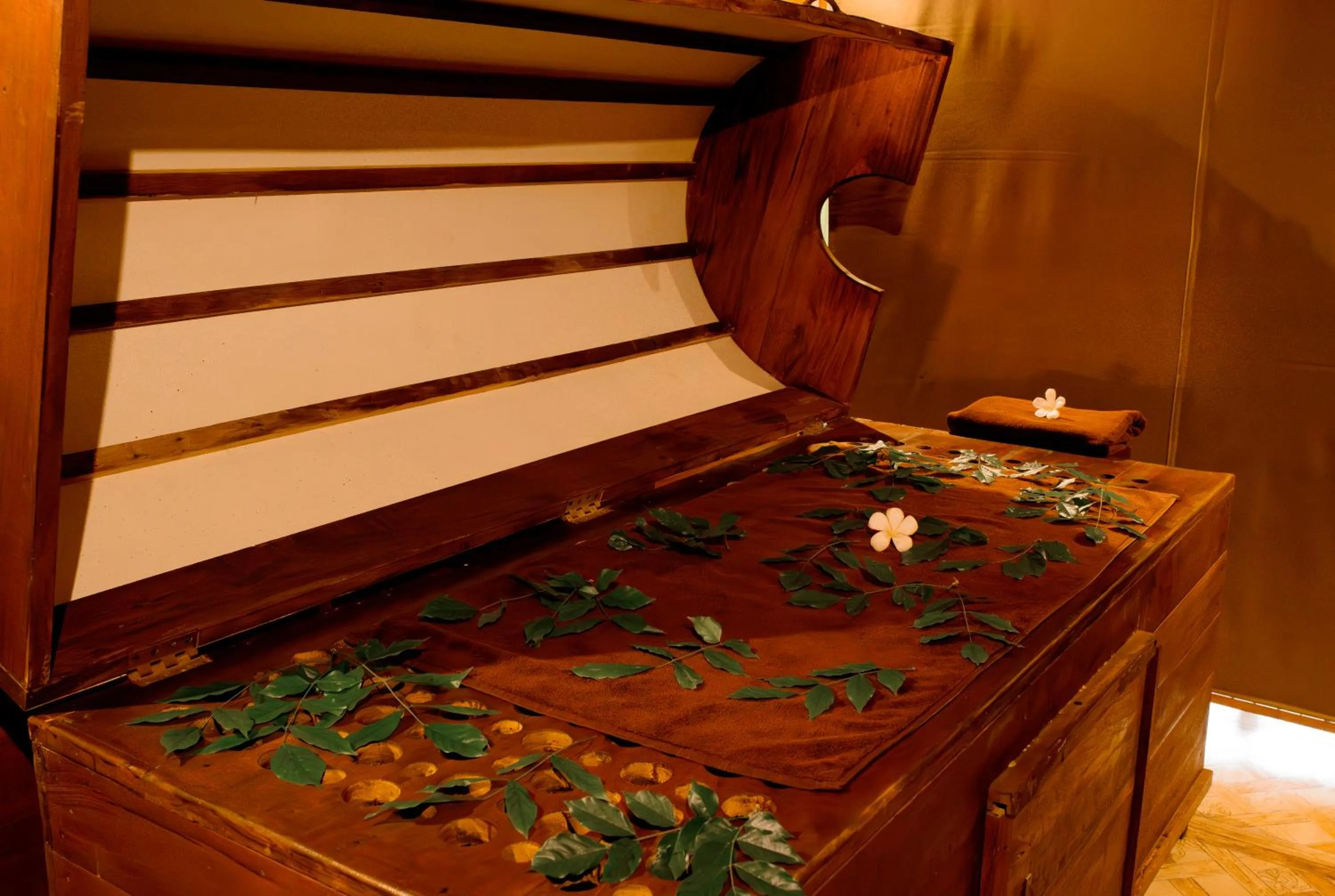 Spa and wellness centre/facilities in Celestia Ayurveda Resort