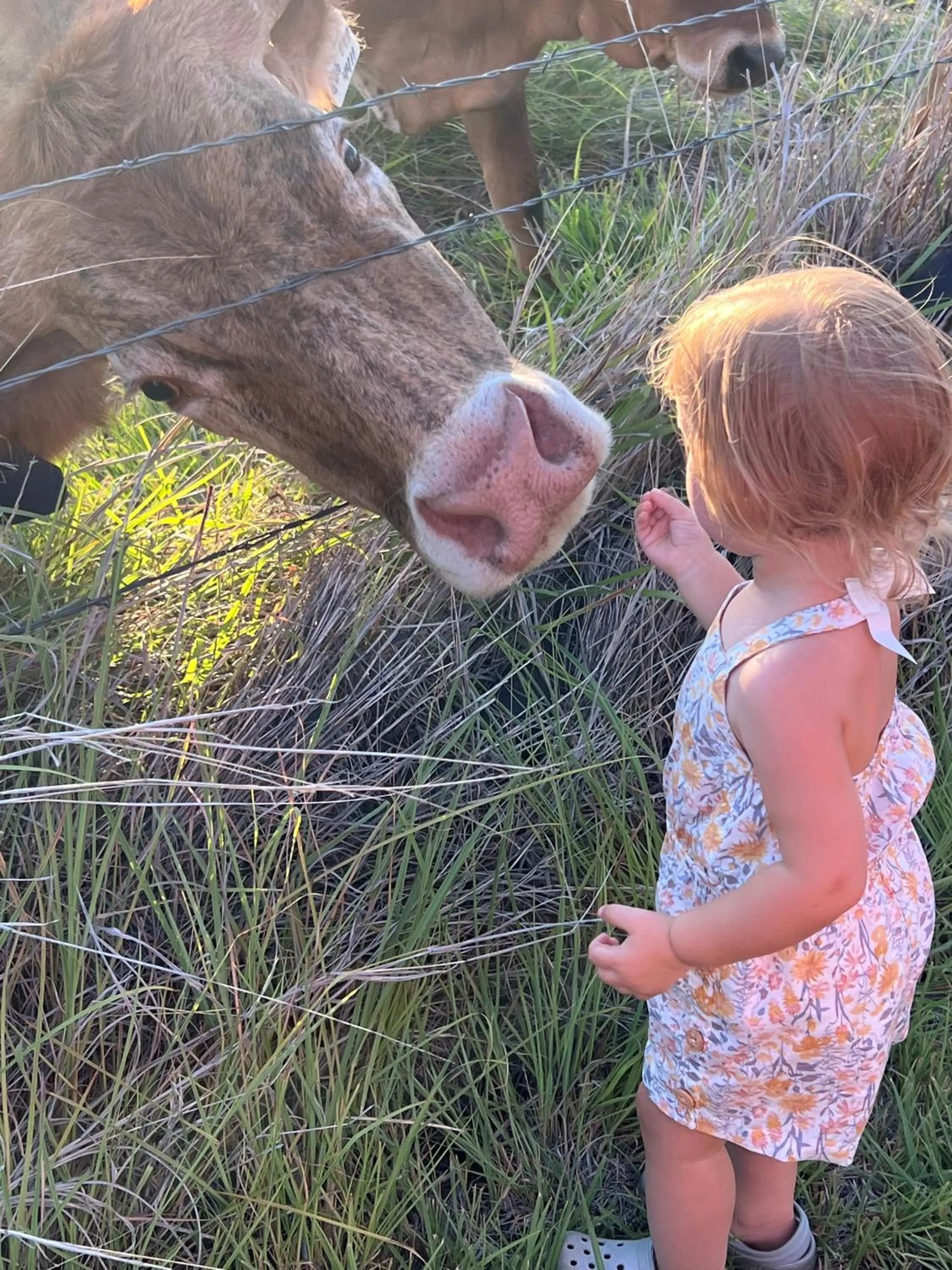 Day in Fox Hollow Resort